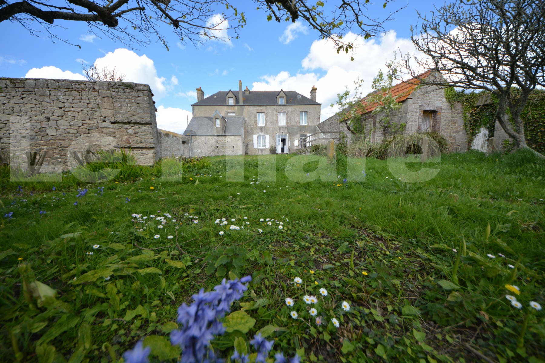 Maison de maître 7 Pièce(s) Gatteville-le-Phare