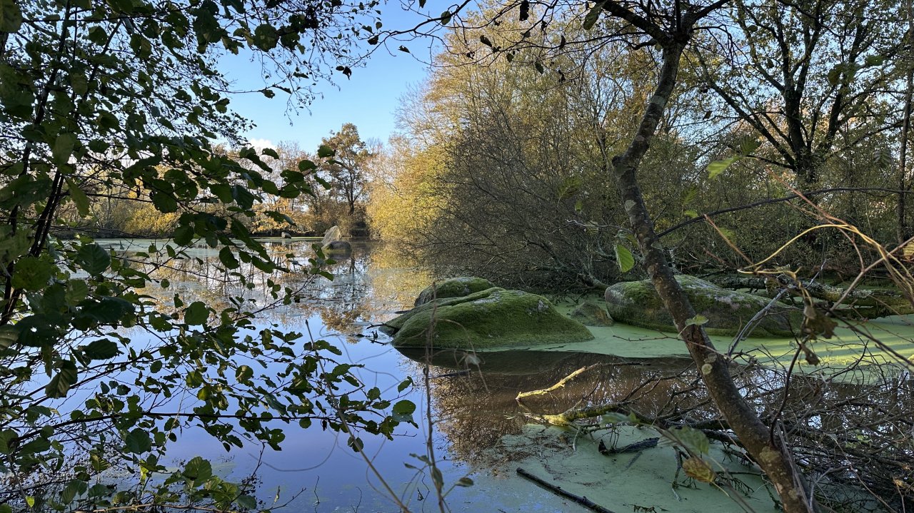 Terrain  CHAILLE-SOUS-LES-ORMEAUX - Photo 1