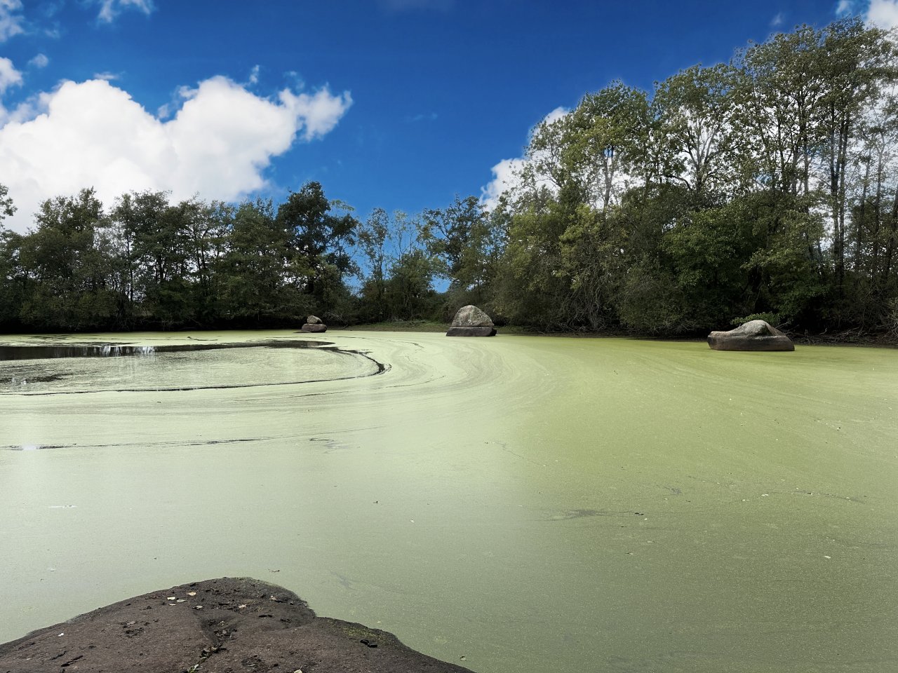 Terrain  CHAILLE-SOUS-LES-ORMEAUX - Photo 2