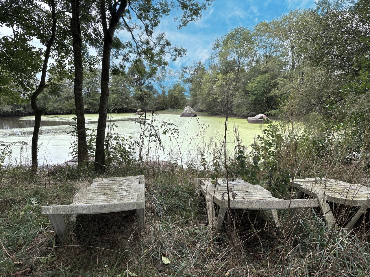 Terrain  CHAILLE-SOUS-LES-ORMEAUX - Photo 3