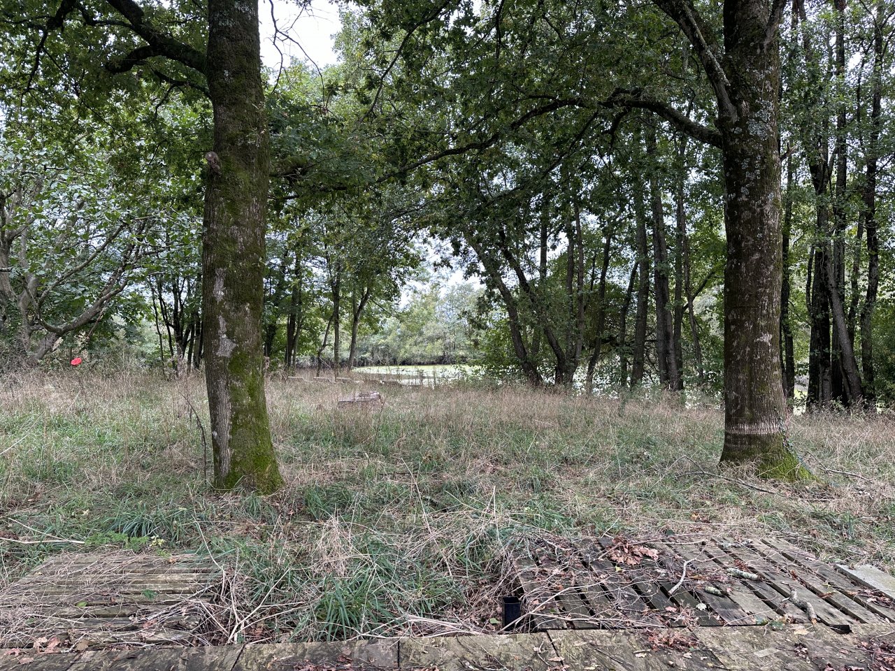 Terrain  CHAILLE-SOUS-LES-ORMEAUX - Photo 5