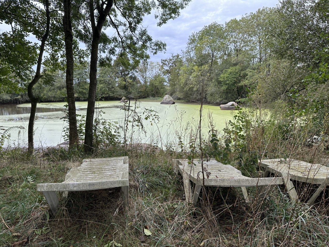 Terrain  CHAILLE-SOUS-LES-ORMEAUX - Photo 6