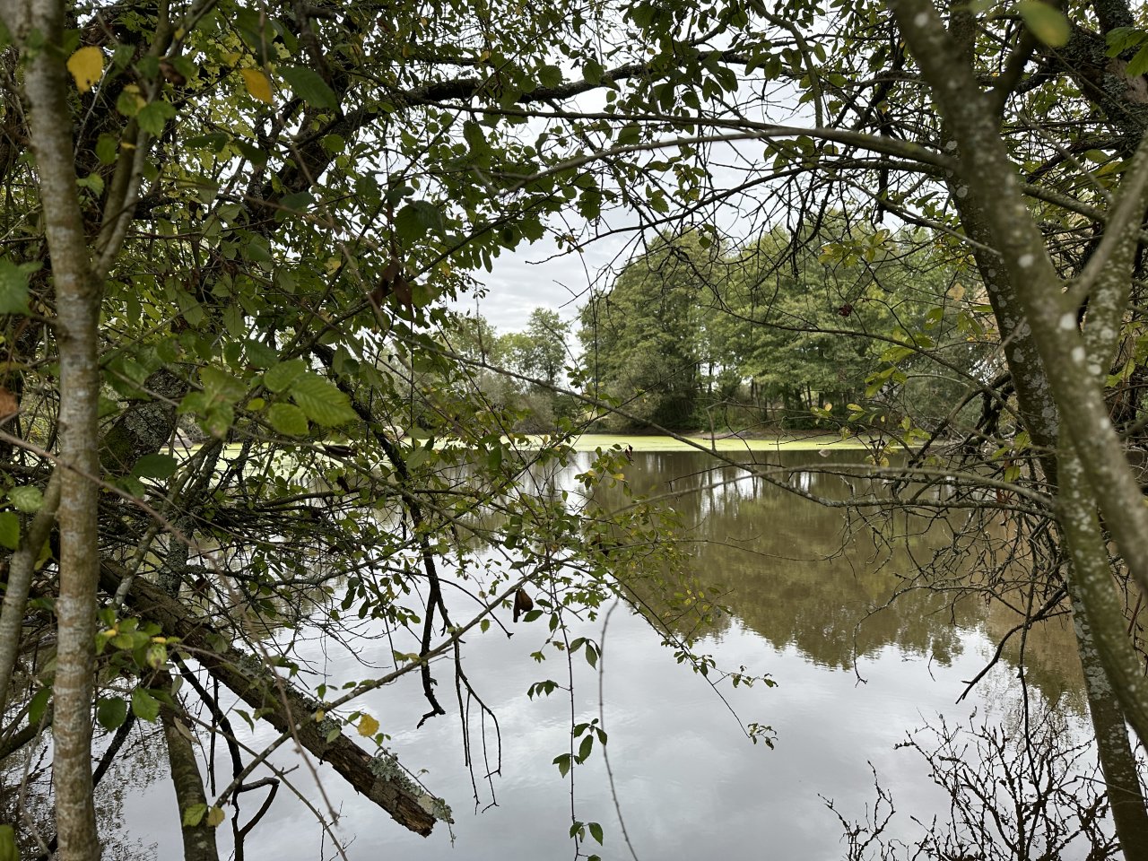Terrain  CHAILLE-SOUS-LES-ORMEAUX - Photo 9