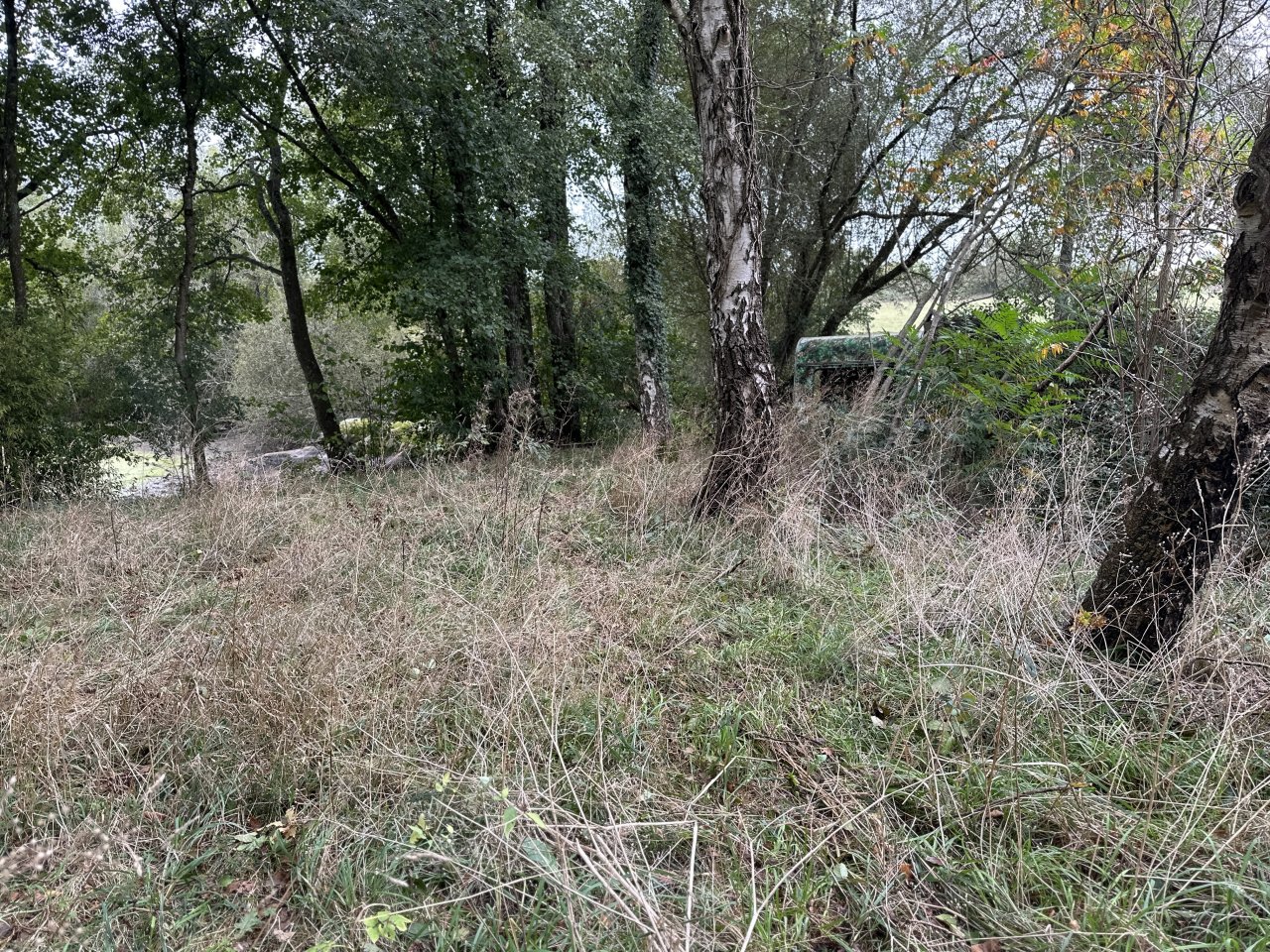 Terrain  CHAILLE-SOUS-LES-ORMEAUX - Photo 10