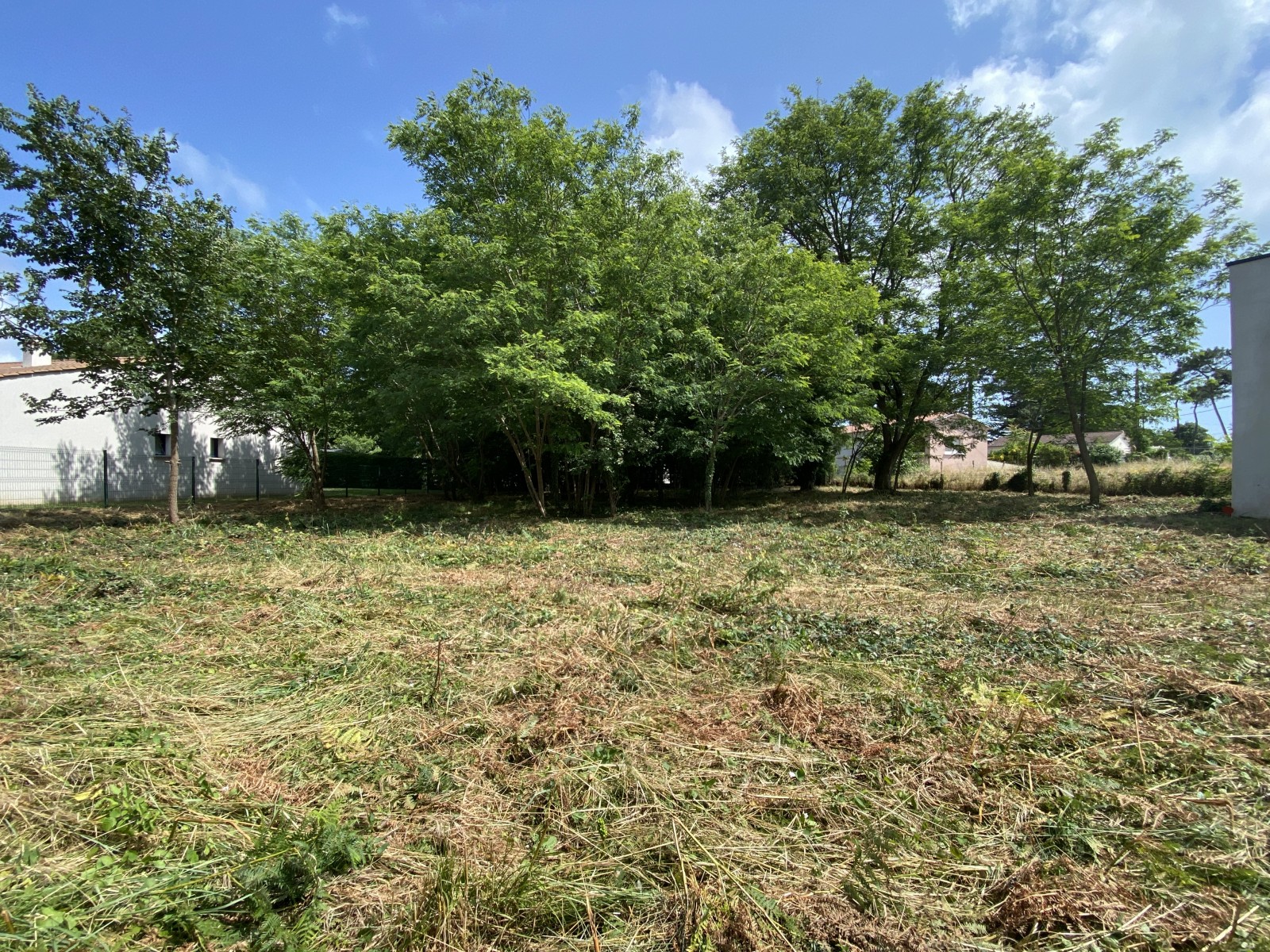 Terrain  JARD-SUR-MER - Photo 1