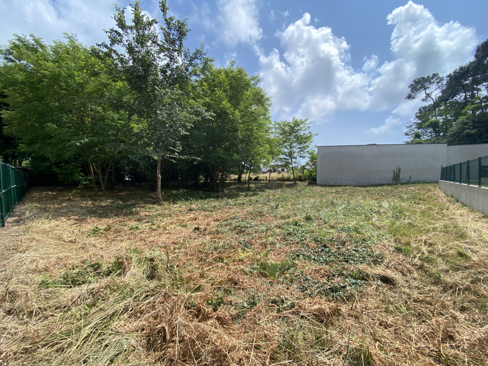 Terrain  JARD-SUR-MER - Photo 2