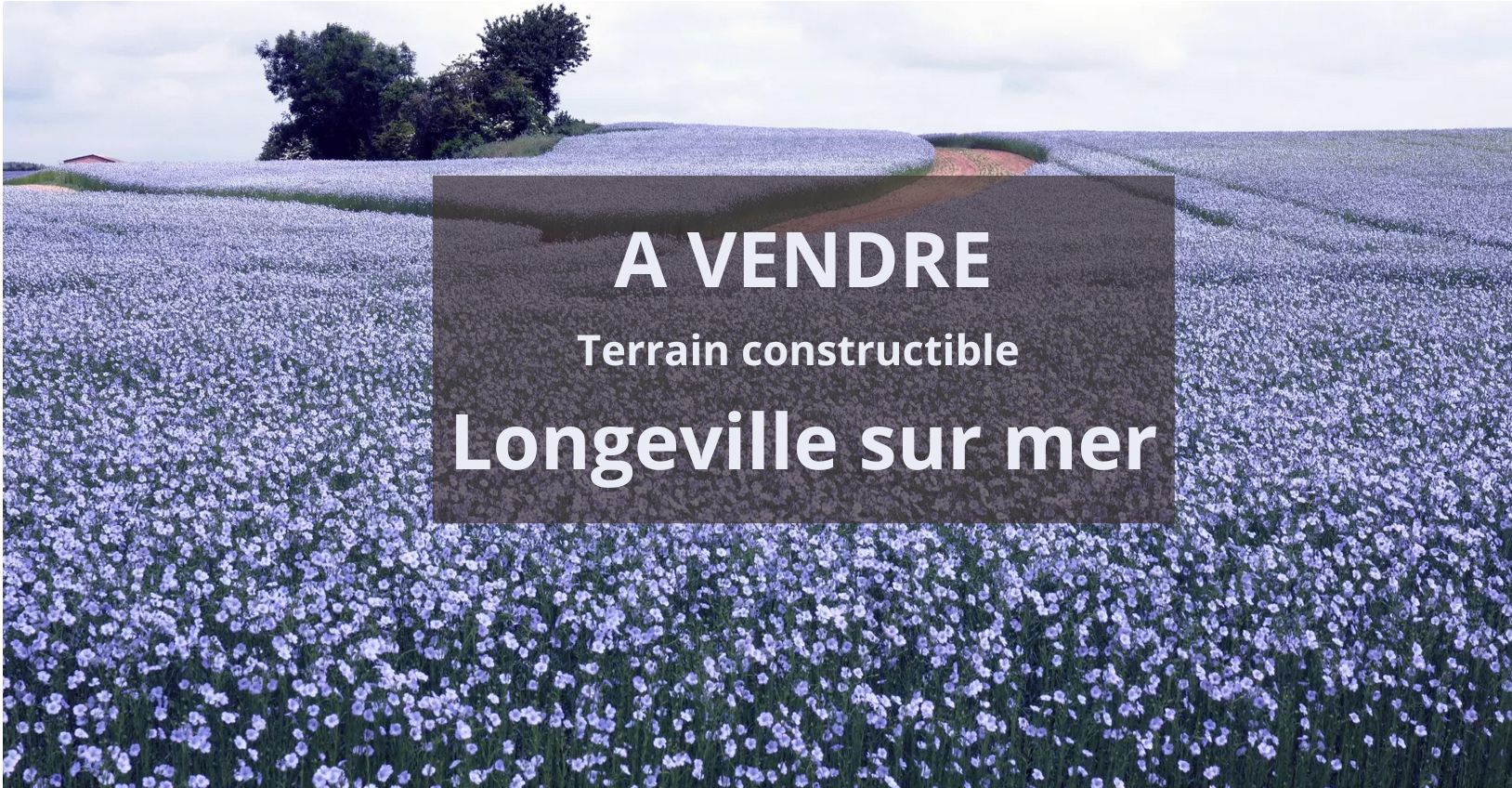 Terrain  LONGEVILLE-SUR-MER - Photo 1