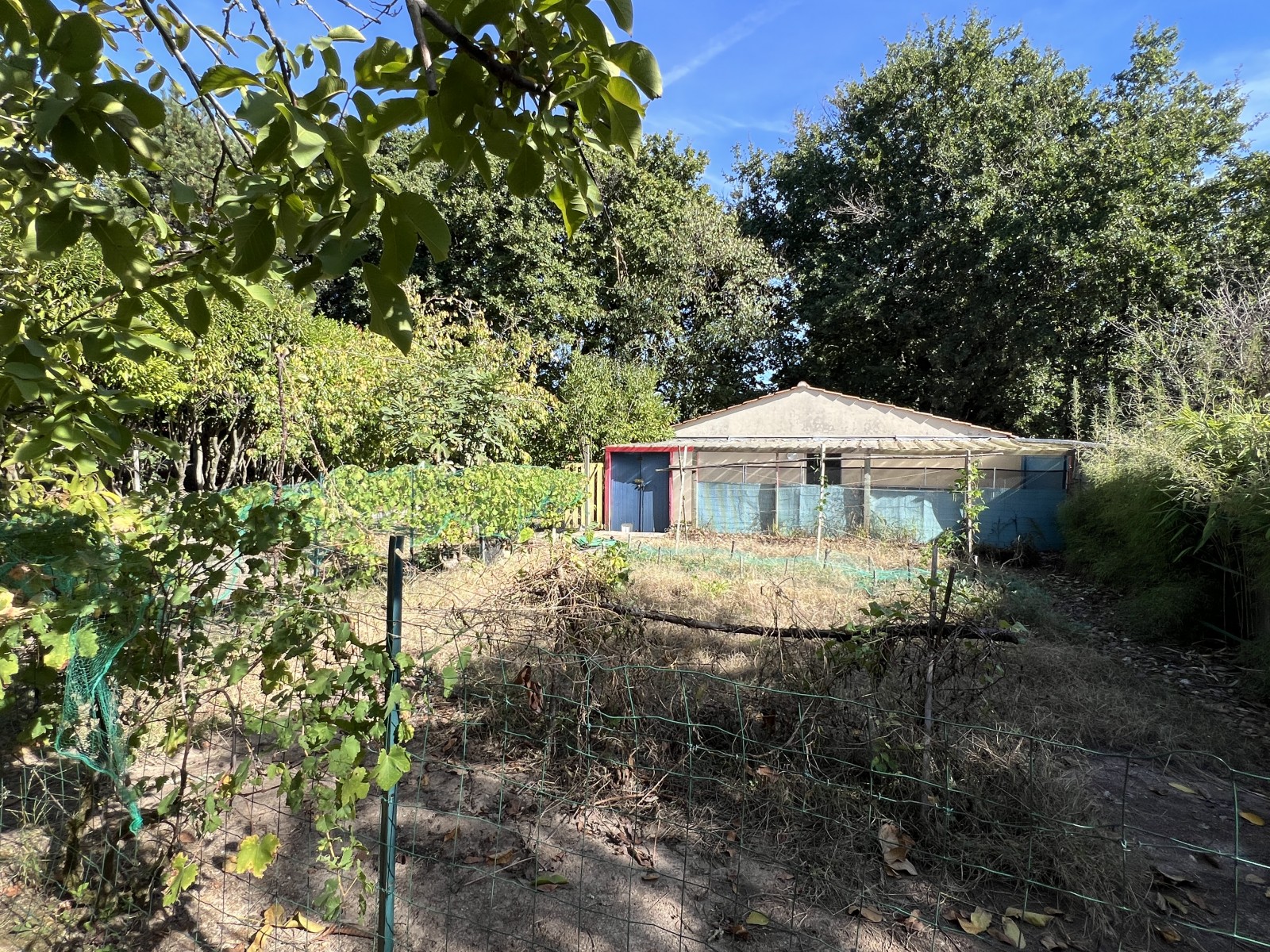 Maison 6 Pièce(s) AVRILLE - Photo 17