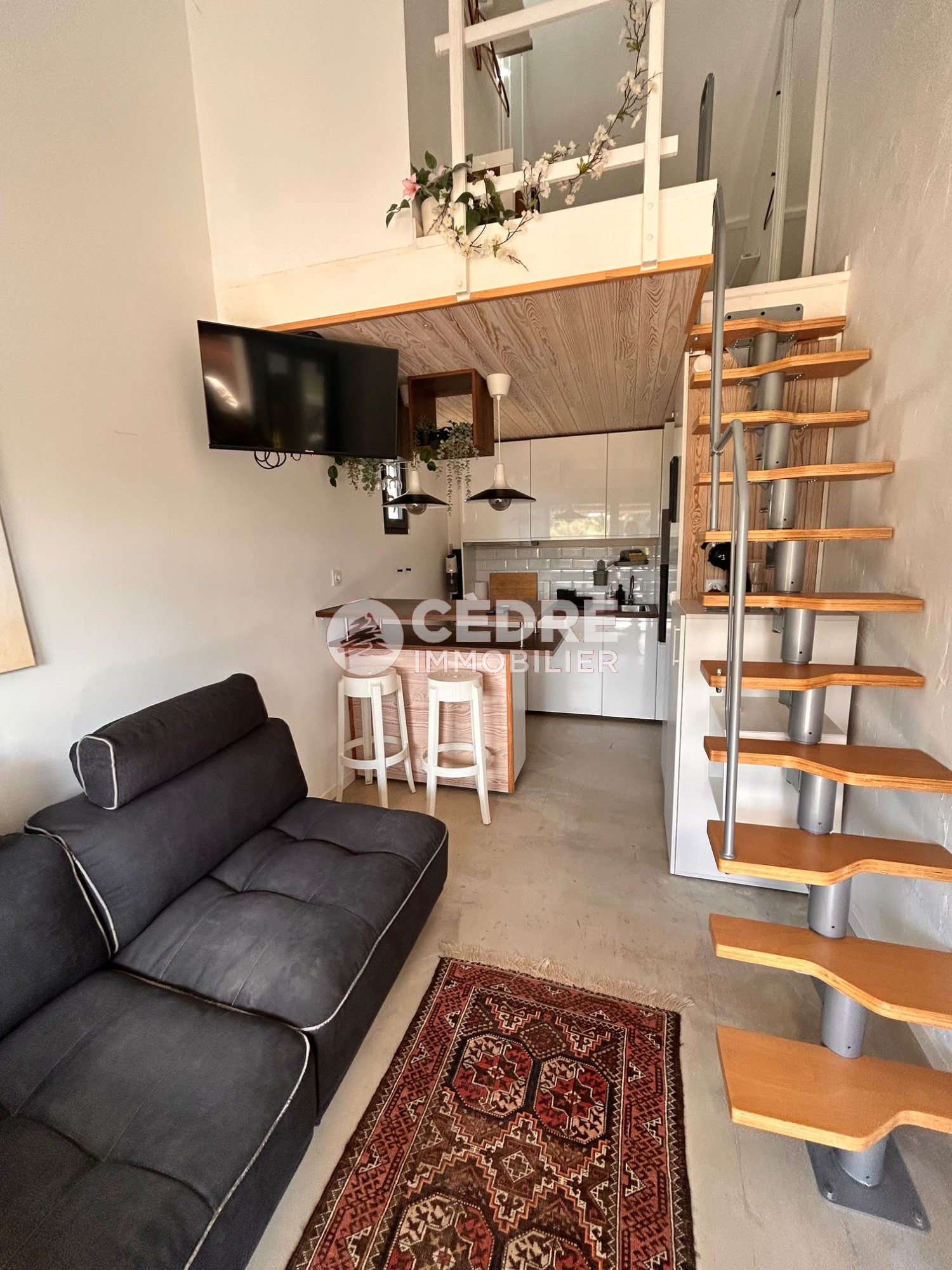 Appartement 1 Pièce(s) Olivet