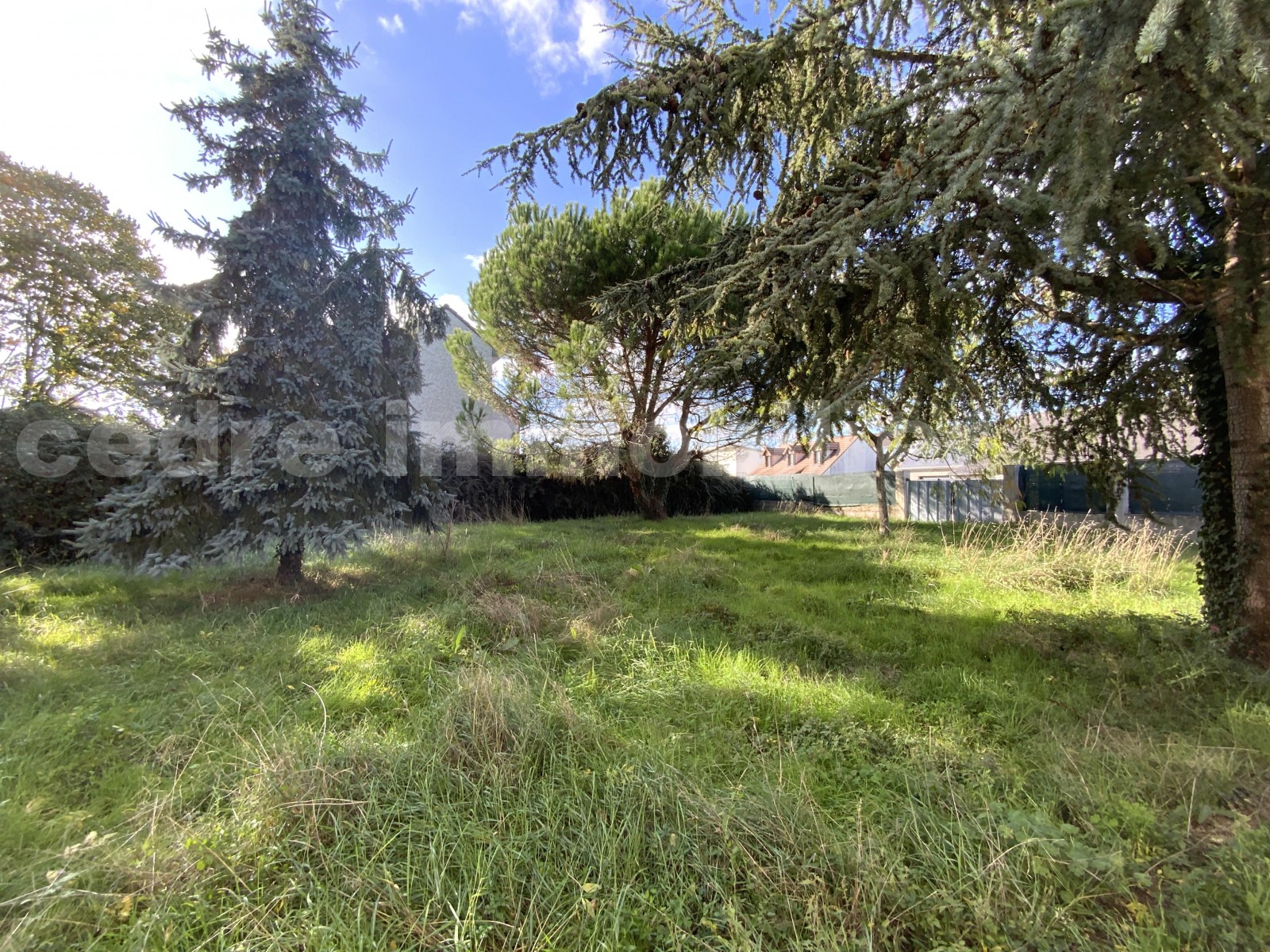 Maison 5 Pièce(s) Saint-Pryvé-Saint-Mesmin