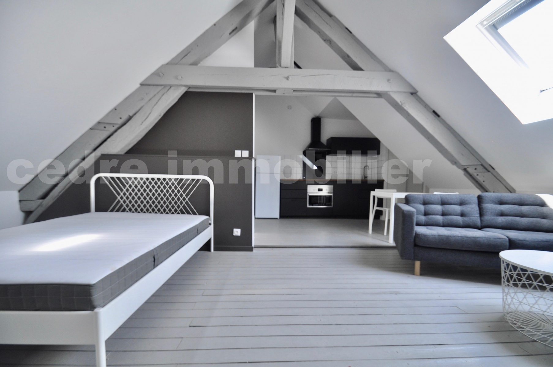 Appartement 1 Pièce(s) ORLEANS