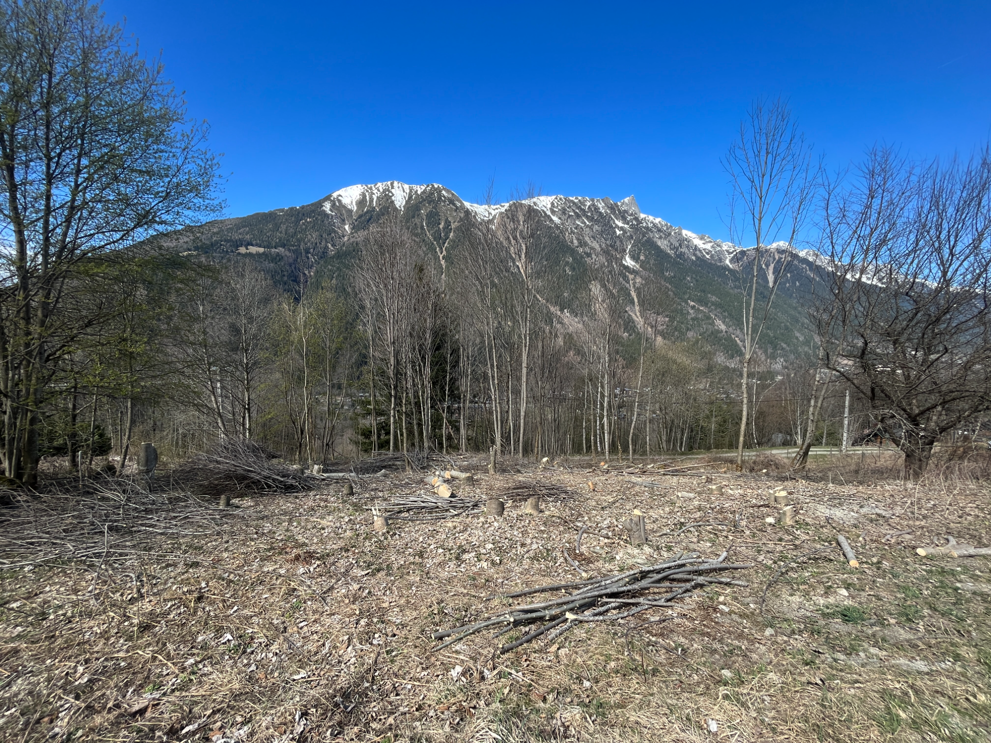 Terrain à batir  Chamonix-Mont-Blanc