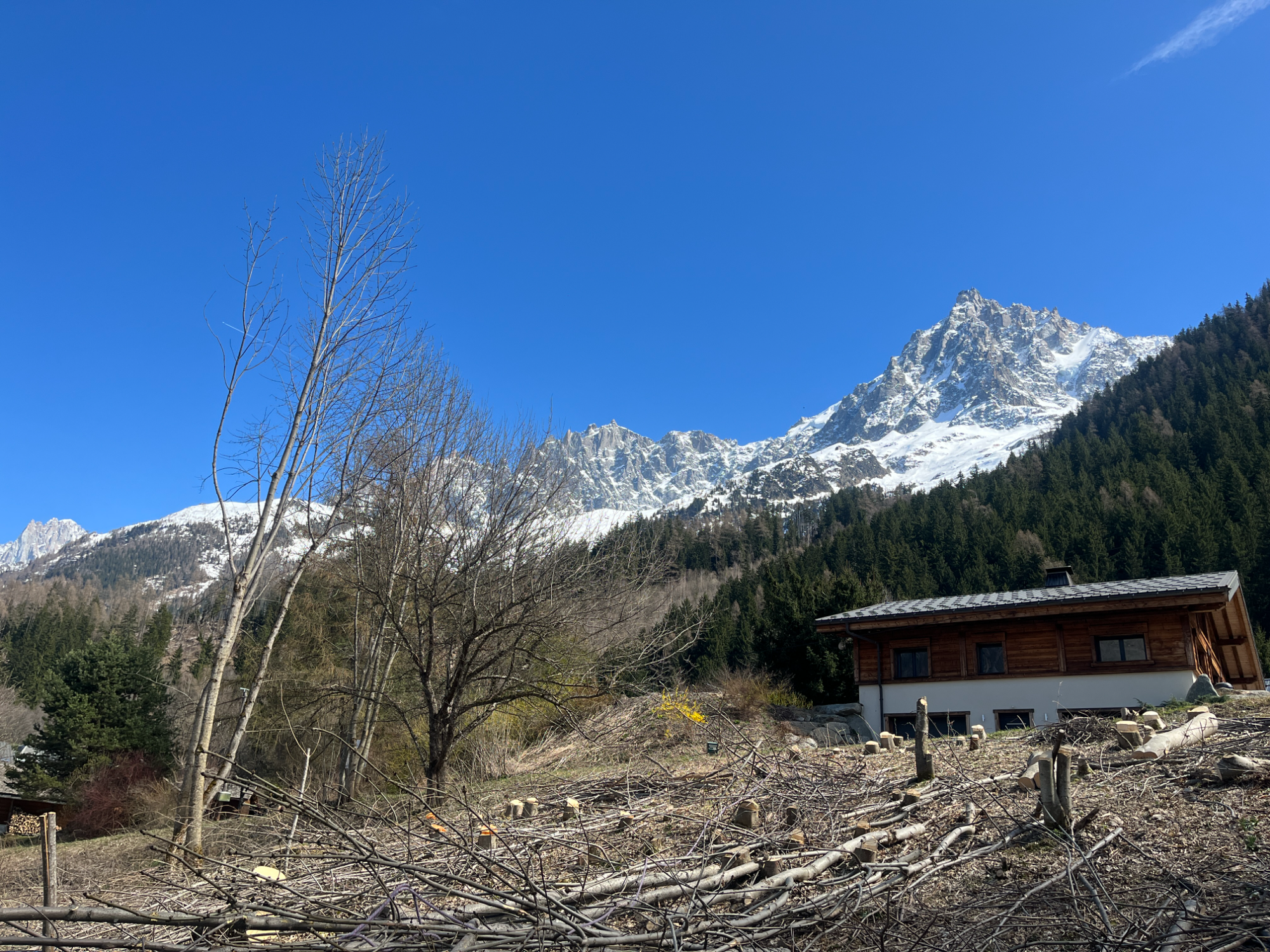 Terrain à batir  Chamonix-Mont-Blanc