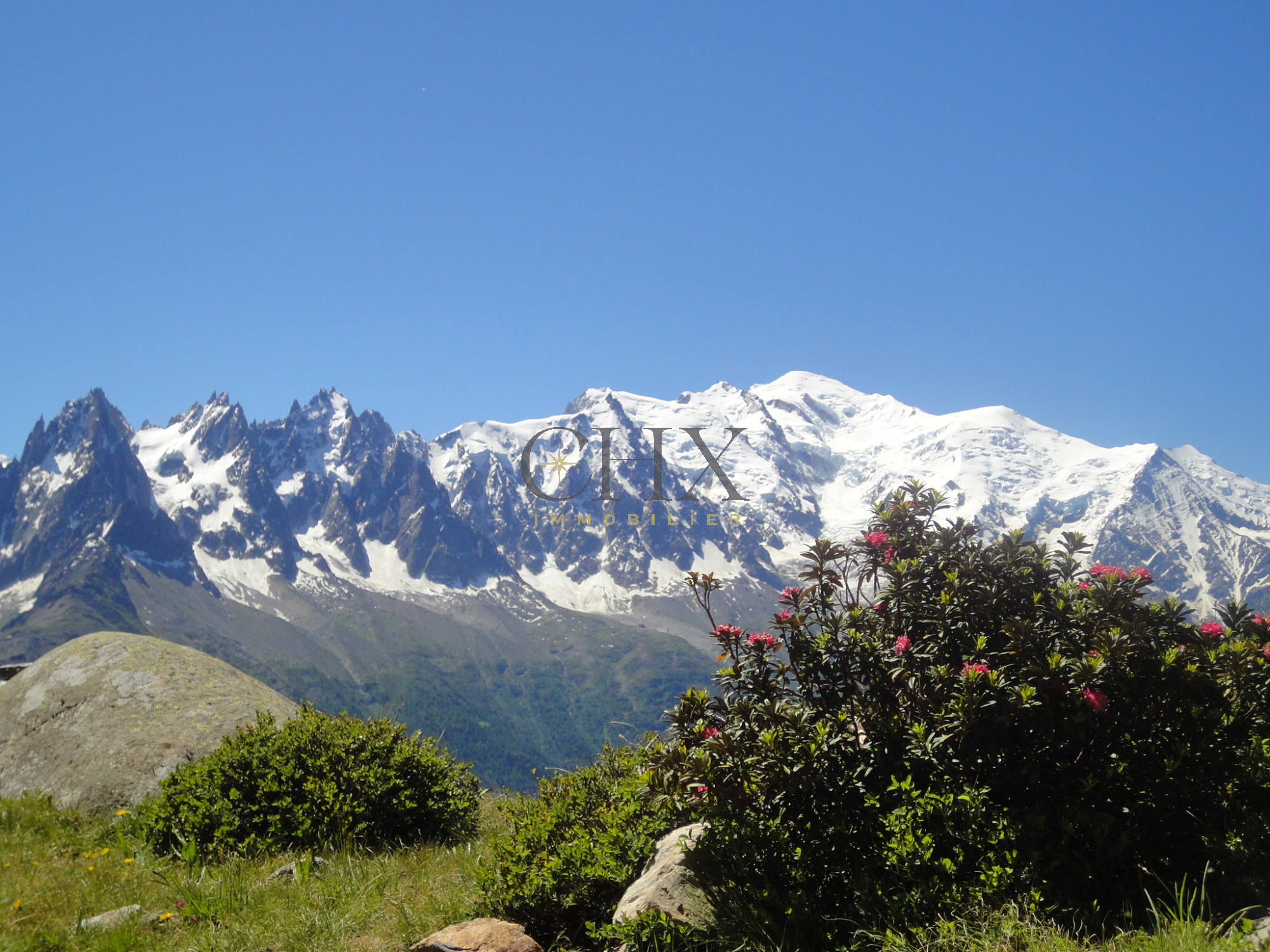 Commerce  Chamonix-Mont-Blanc