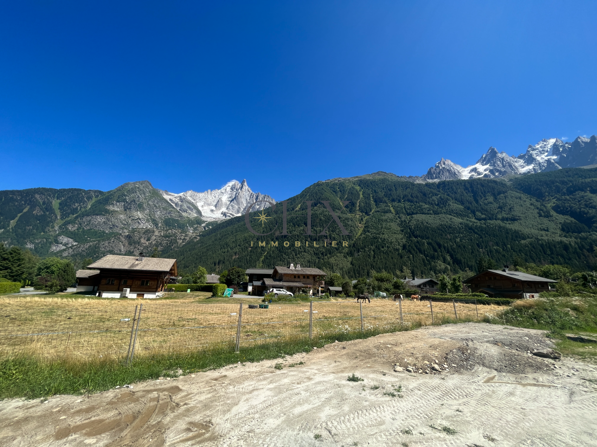 Chalet 8 Pièce(s) Chamonix-Mont-Blanc