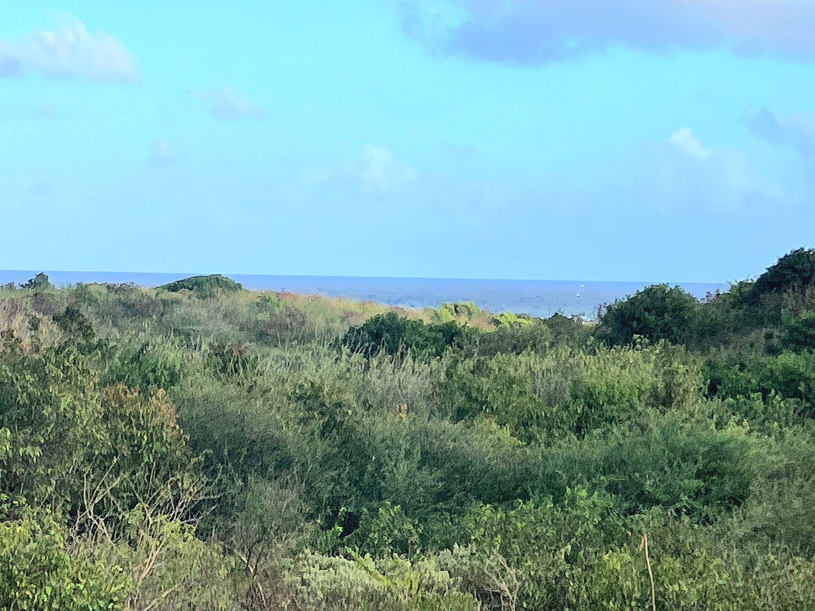 Terrain Constructible  Sainte-Anne