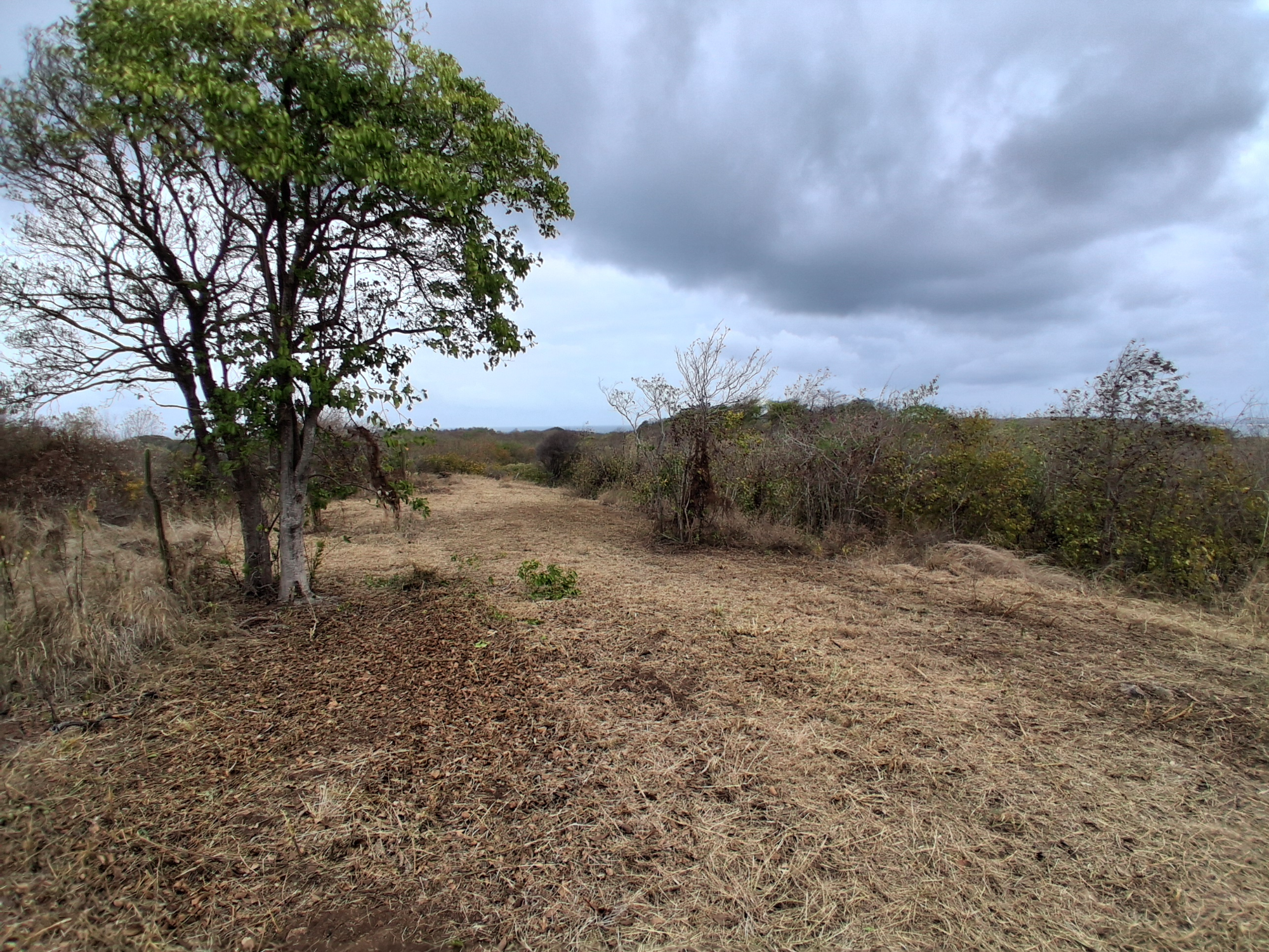Terrain Constructible  Sainte-Anne
