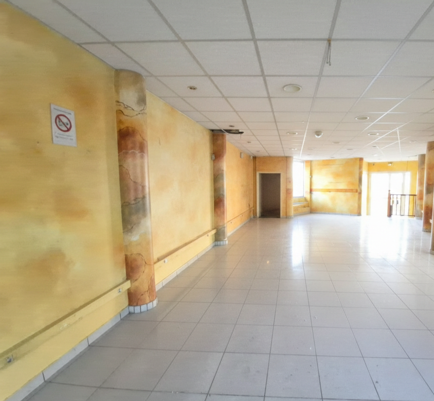 Commerce  Fort-de-France