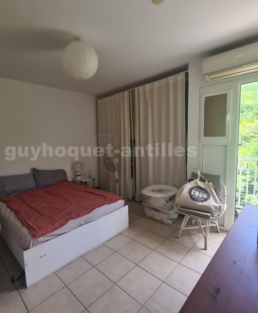 Appartement 2 Pièce(s) Le Diamant