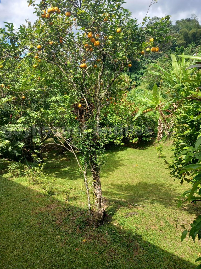 Villa 7 Pièce(s) Sainte-Marie