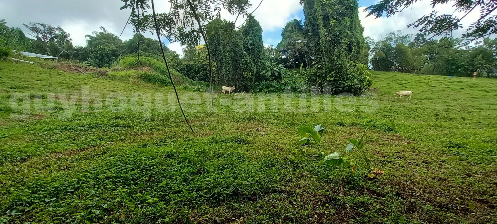 Terrain Constructible  Sainte-Marie