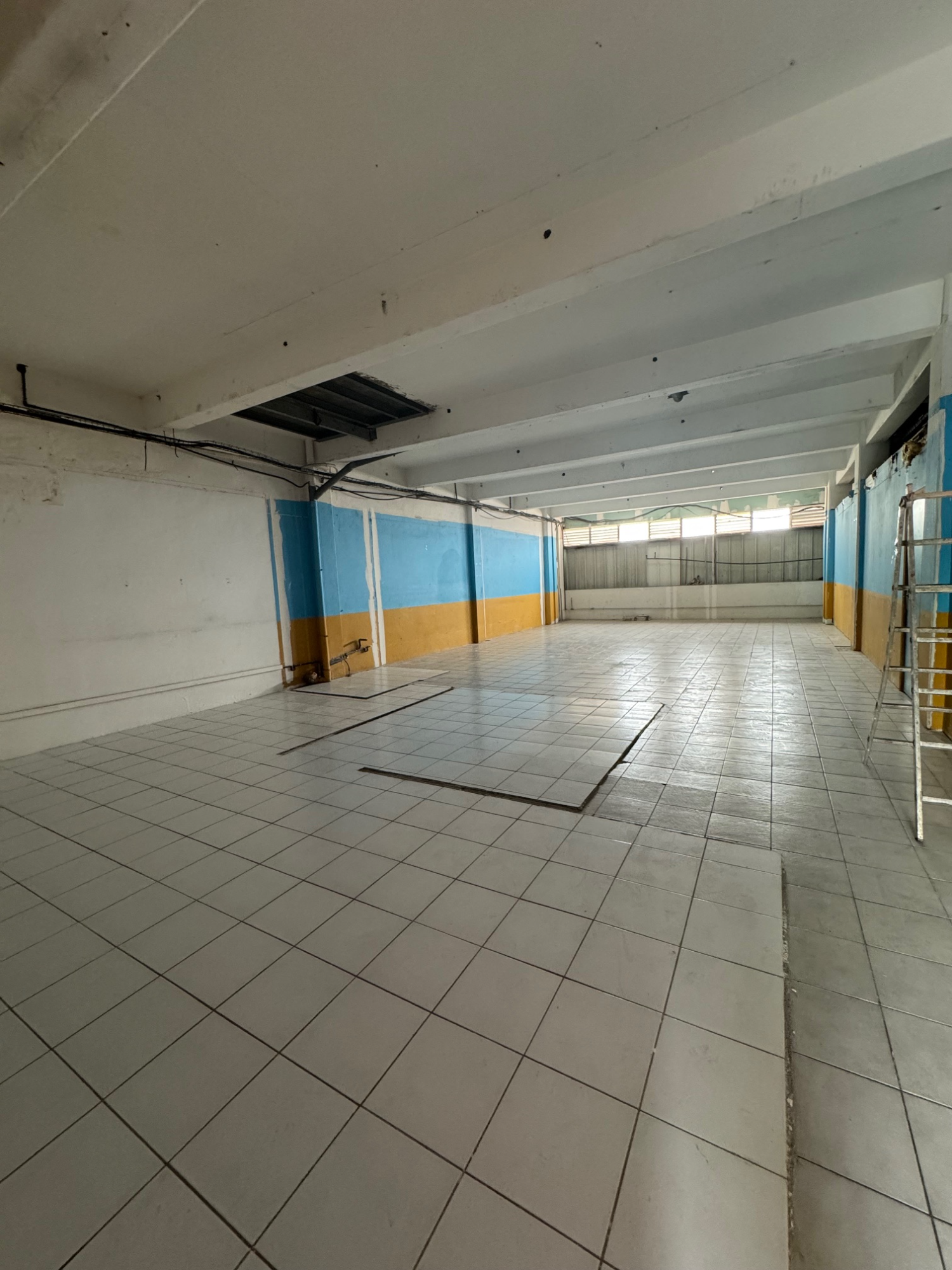 Commerce  Fort-de-France