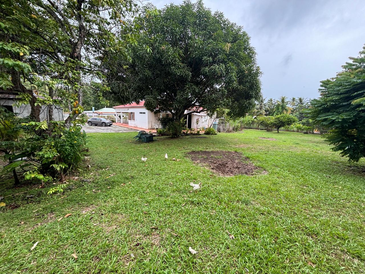 Maison 5 Pièce(s) Baie-Mahault