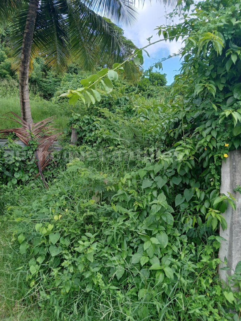 Terrain Constructible  Fort-de-France