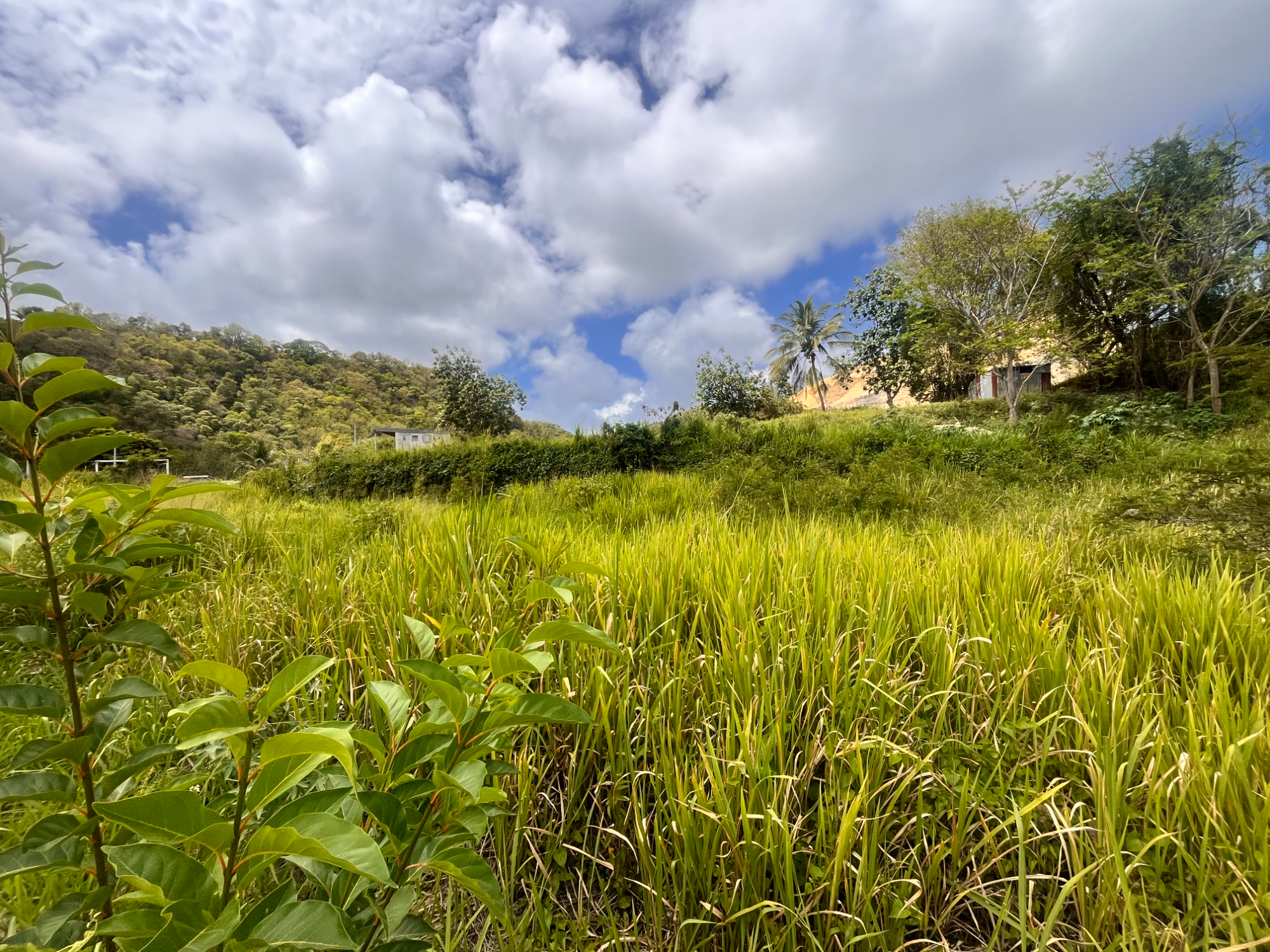 Terrain Constructible  Le Gosier