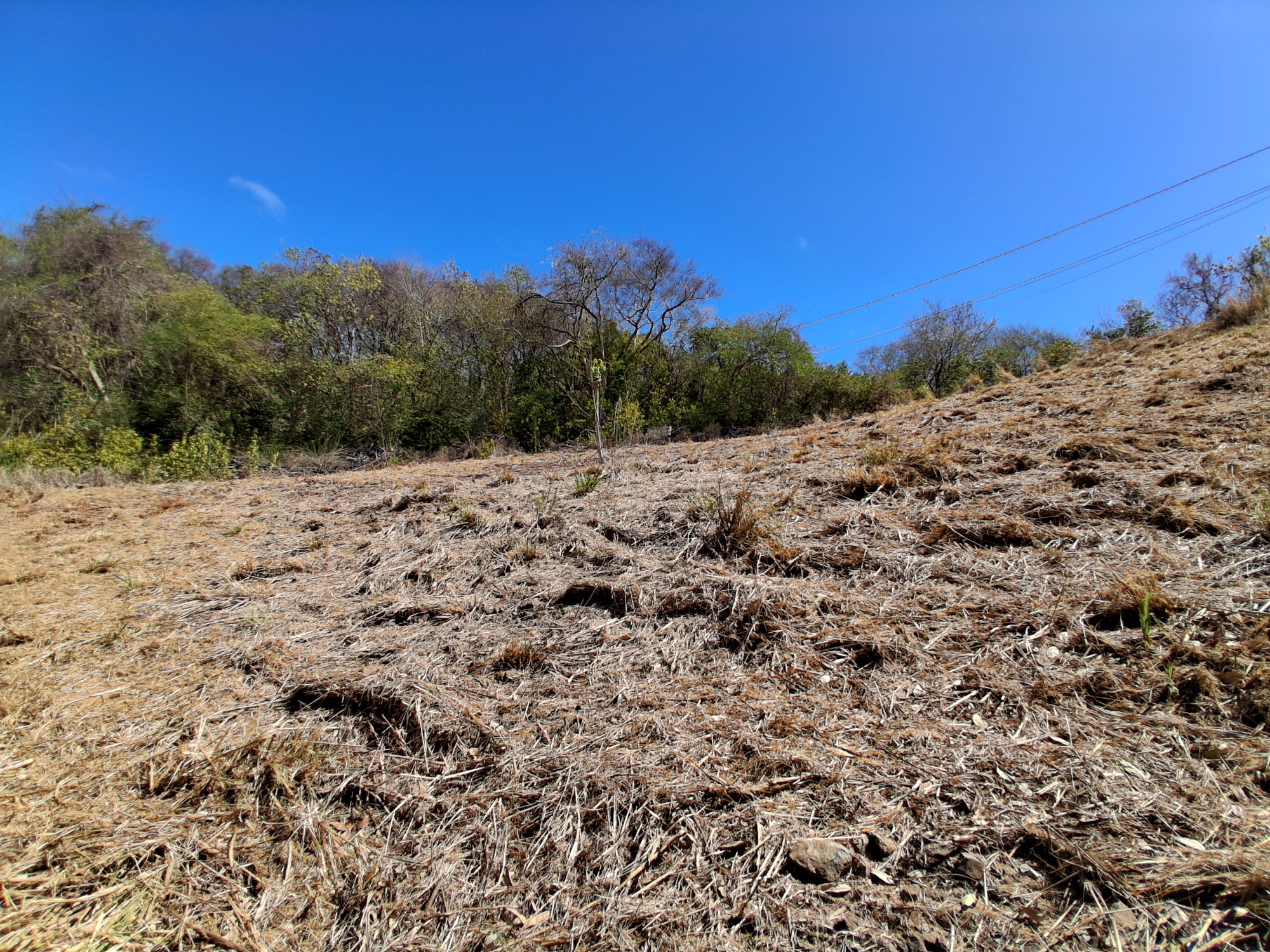 Terrain Constructible  Le Robert - Photo 3