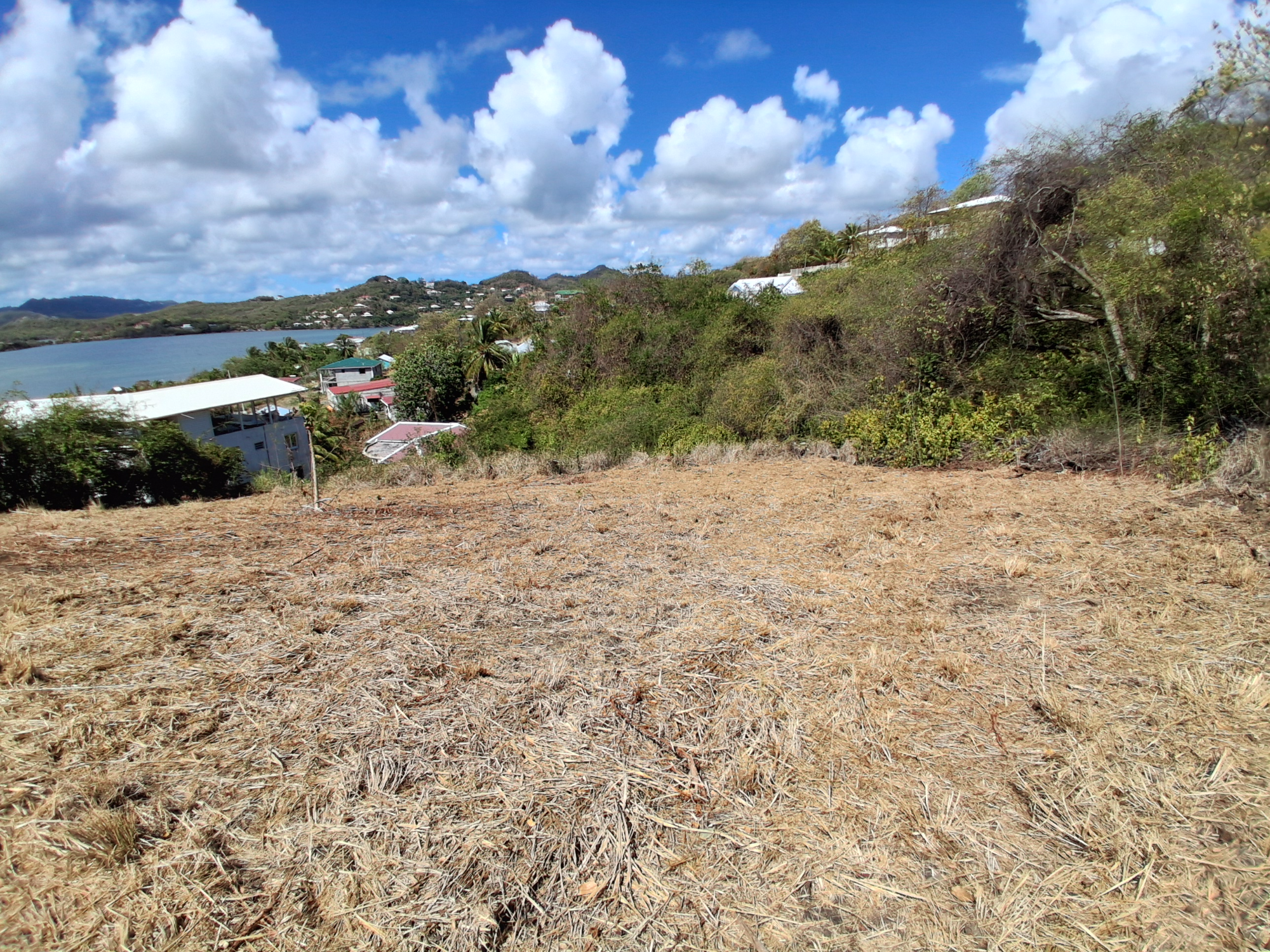 Terrain Constructible  Le Robert - Photo 4