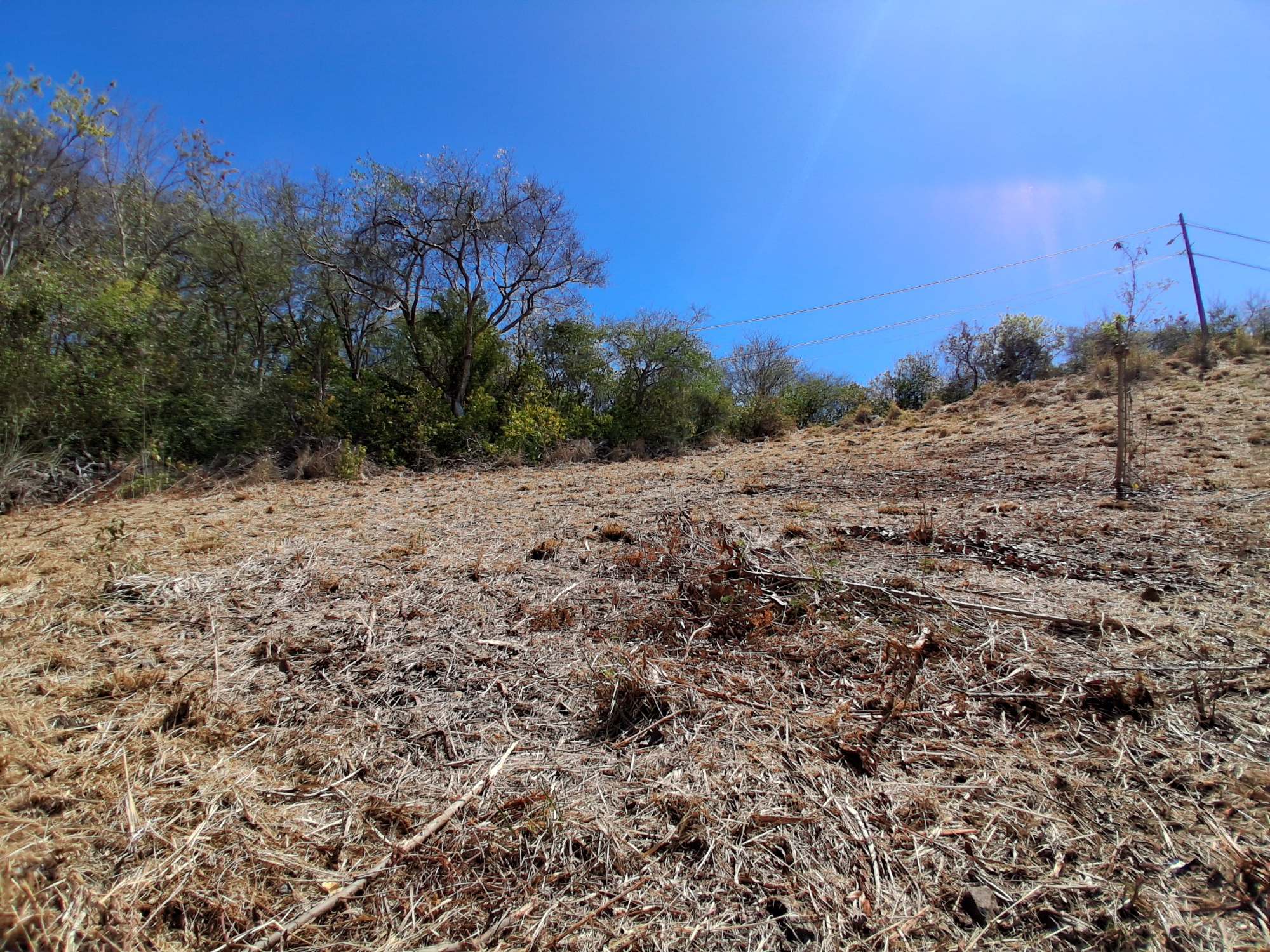 Terrain Constructible  Le Robert - Photo 5