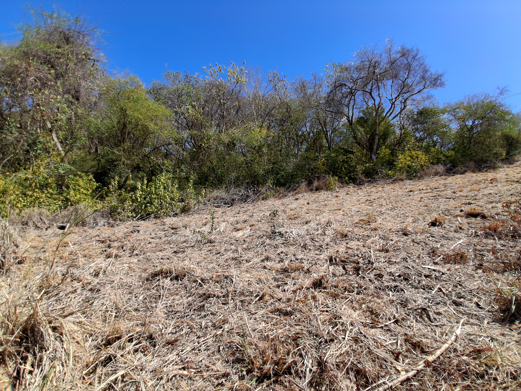 Terrain Constructible  Le Robert - Photo 6