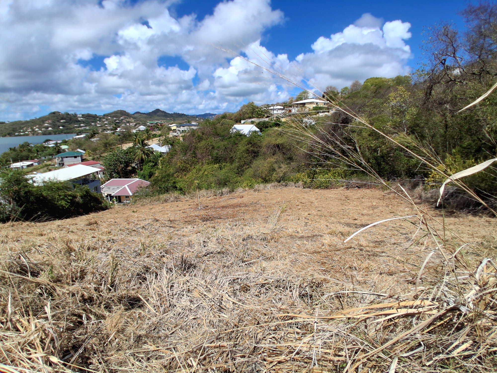 Terrain Constructible  Le Robert - Photo 7
