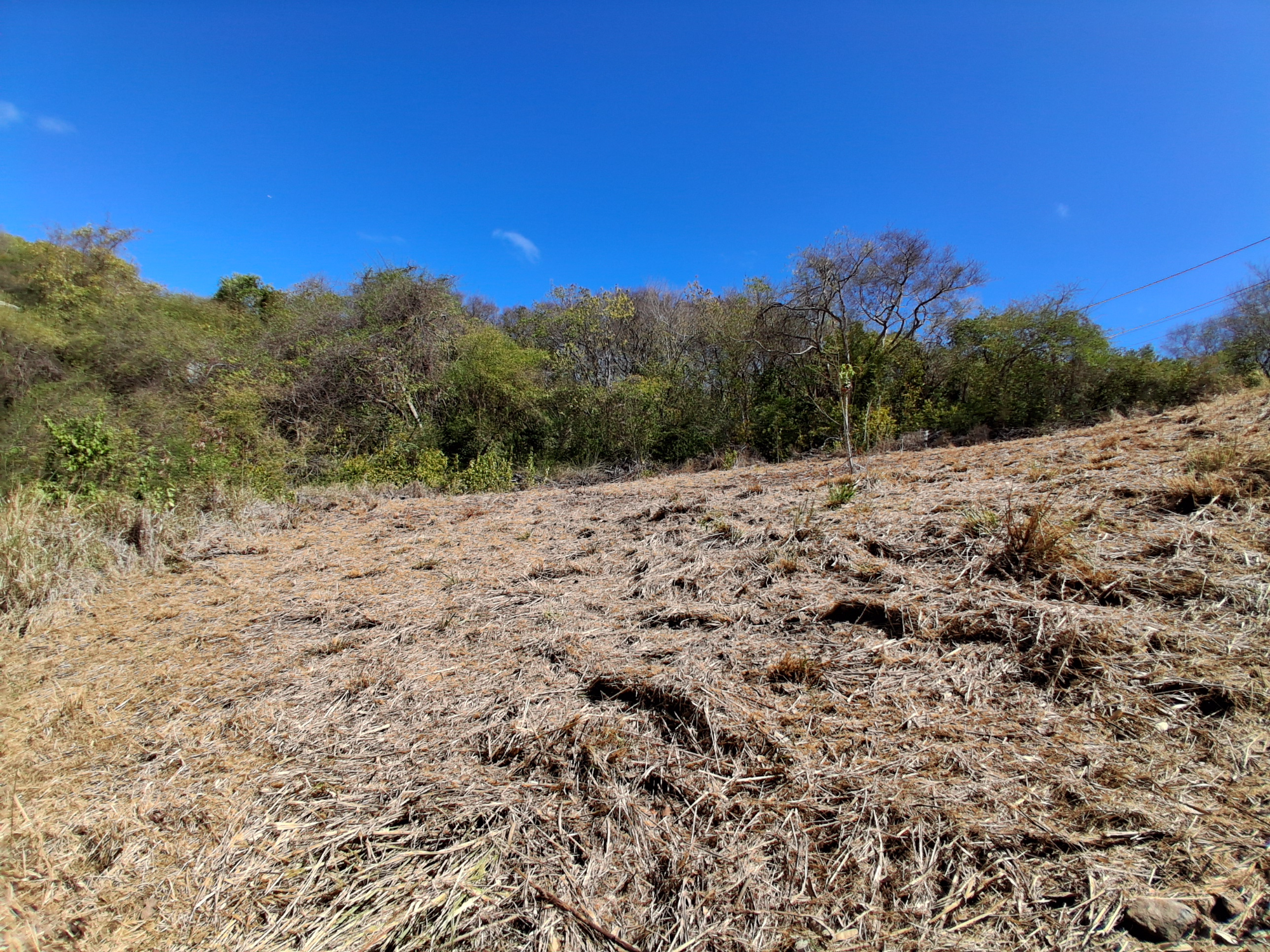 Terrain Constructible  Le Robert - Photo 8