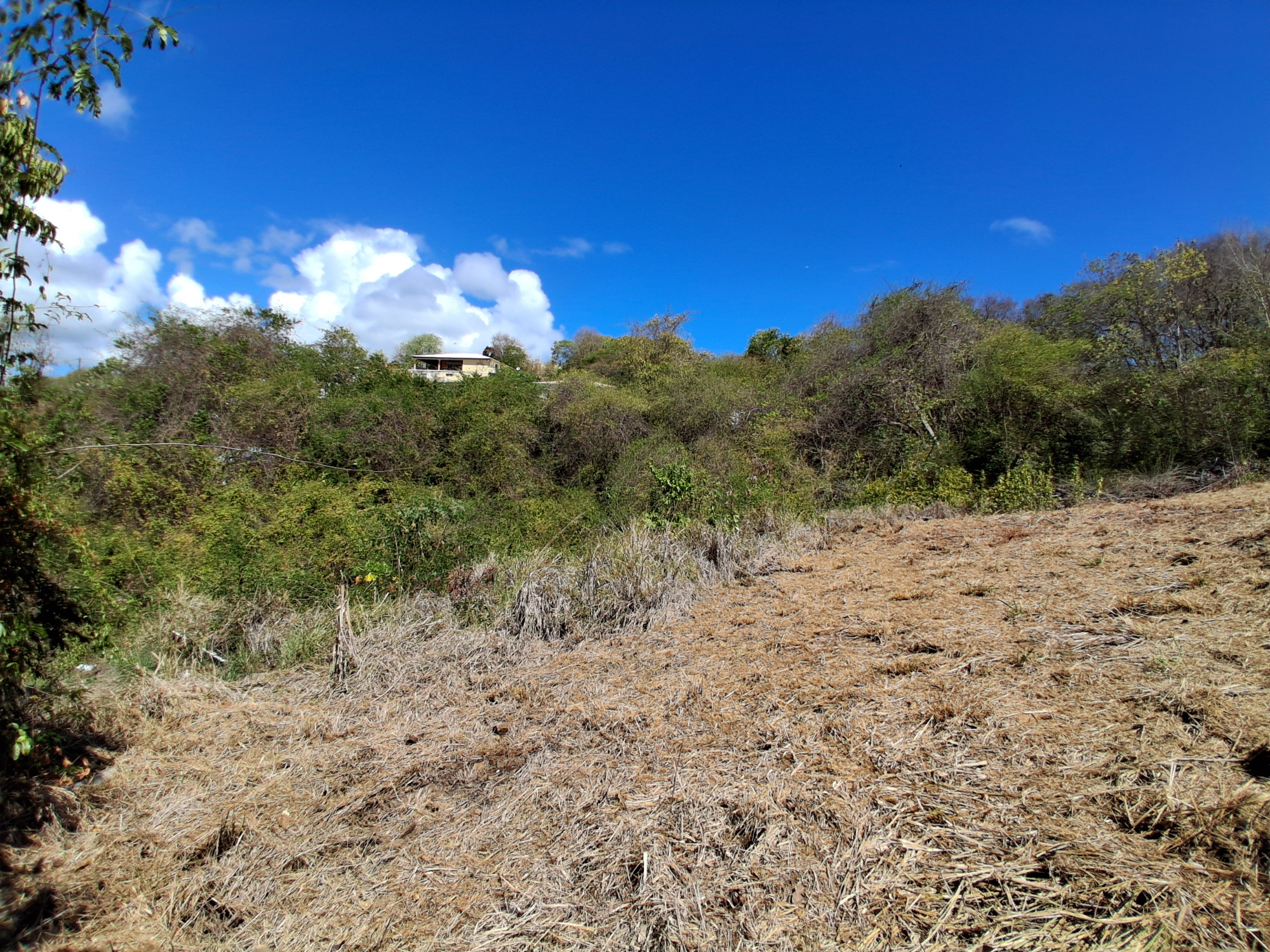 Terrain Constructible  Le Robert - Photo 11