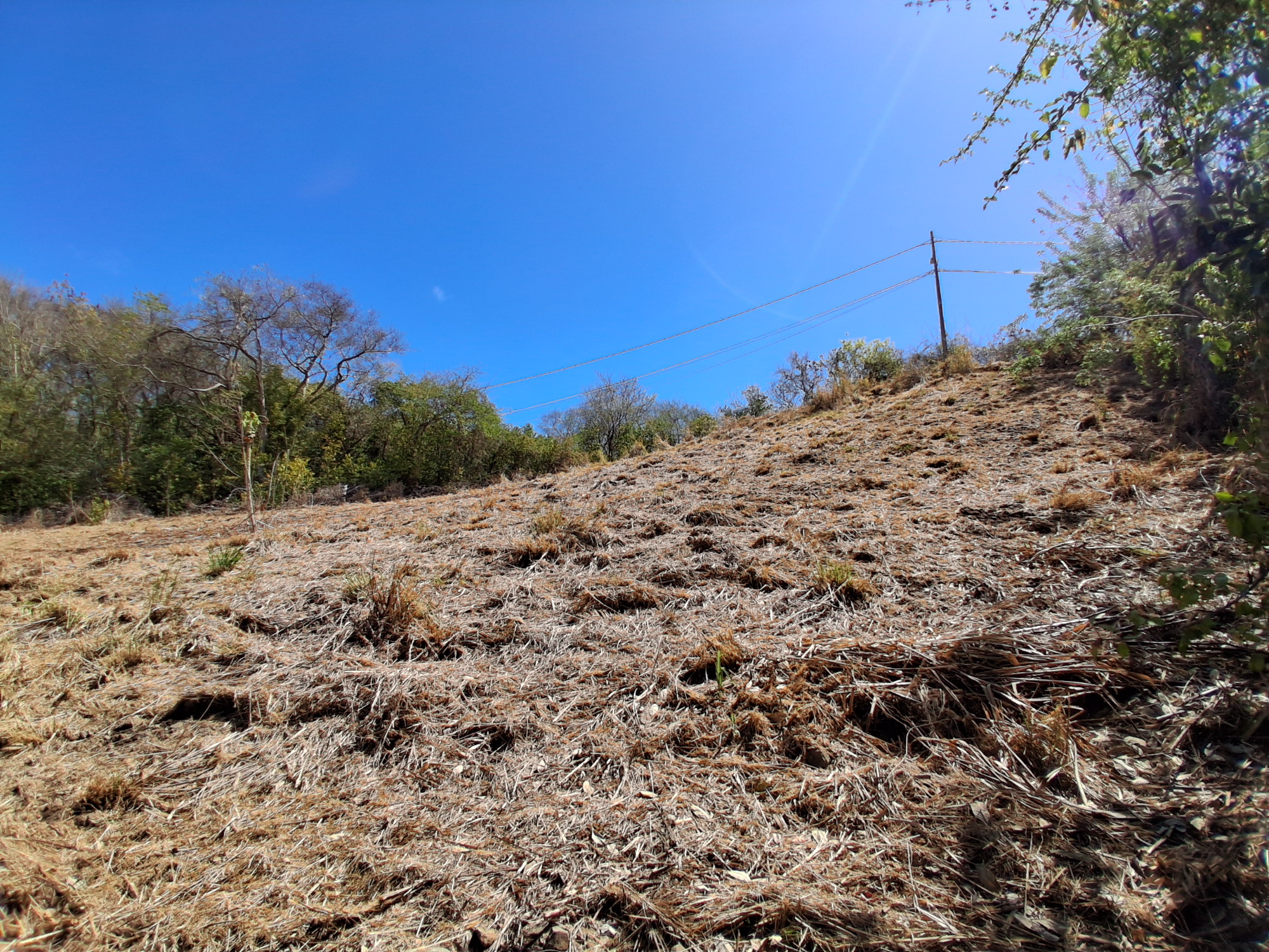 Terrain Constructible  Le Robert - Photo 12
