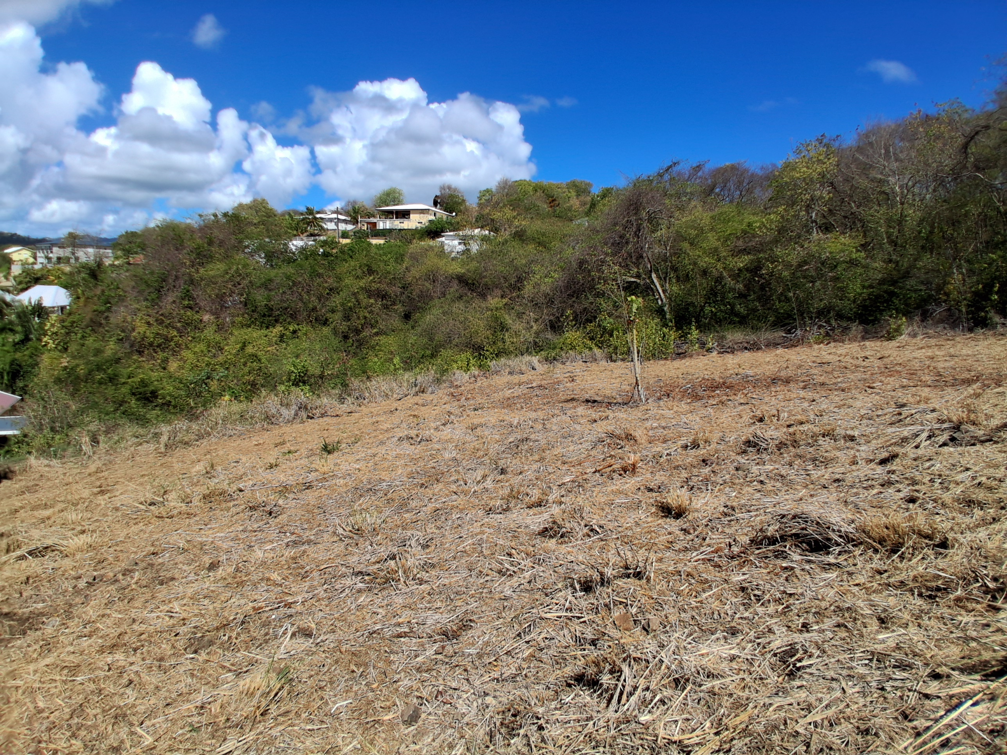 Terrain Constructible  Le Robert - Photo 13