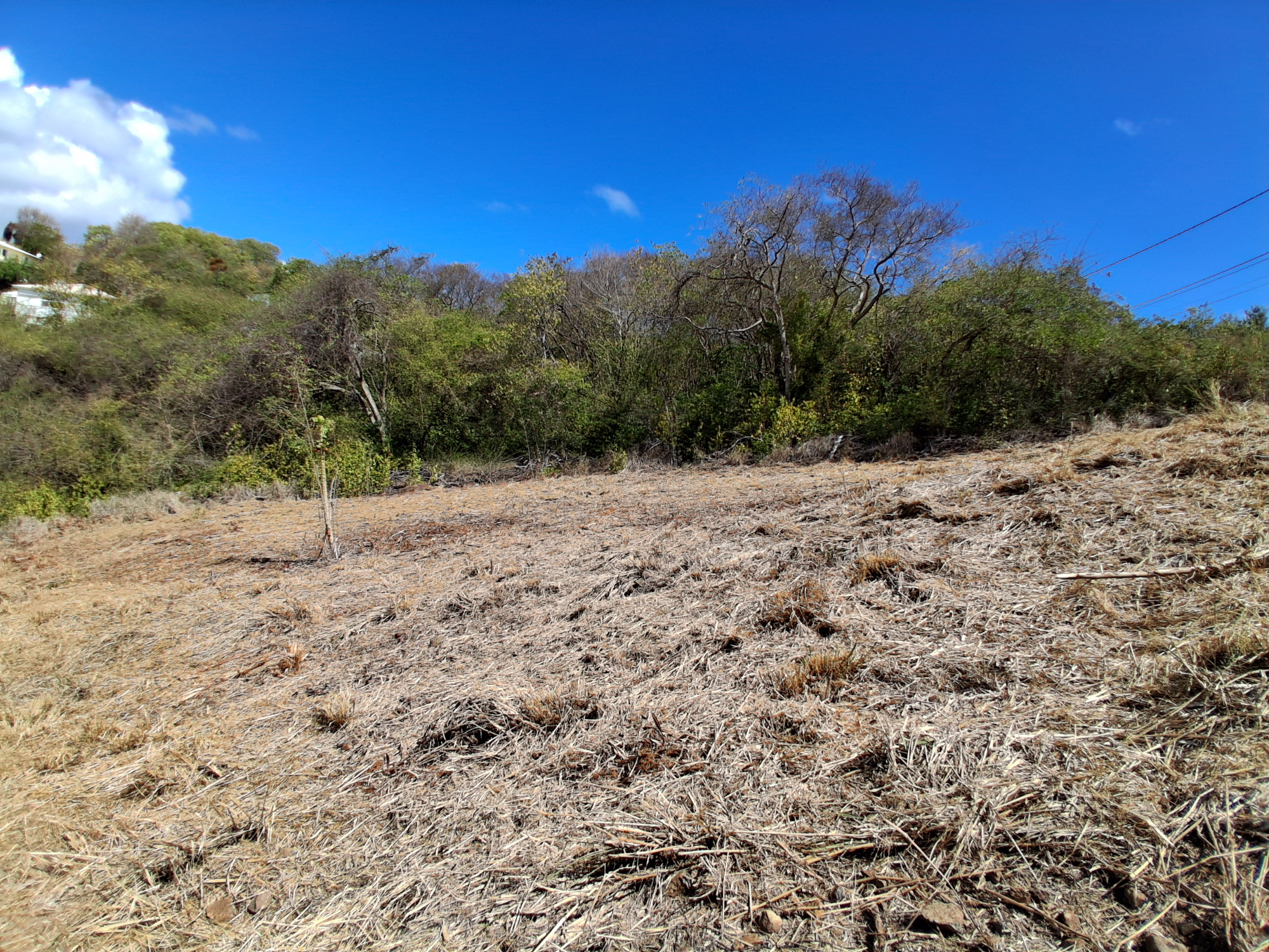 Terrain Constructible  Le Robert - Photo 14