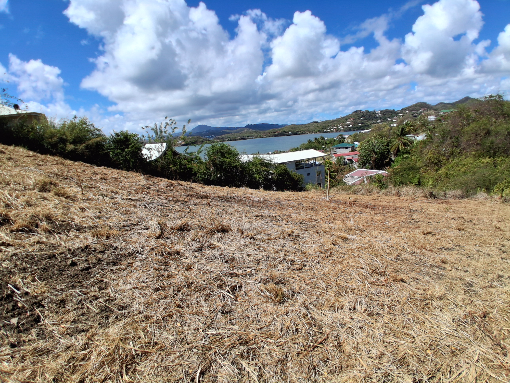 Terrain Constructible  Le Robert - Photo 15