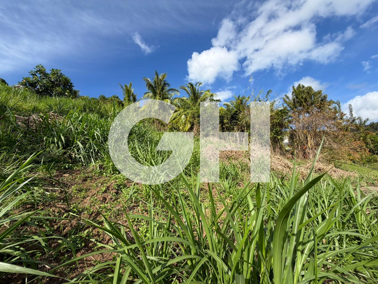Terrain Constructible  Sainte-Luce - Photo 4