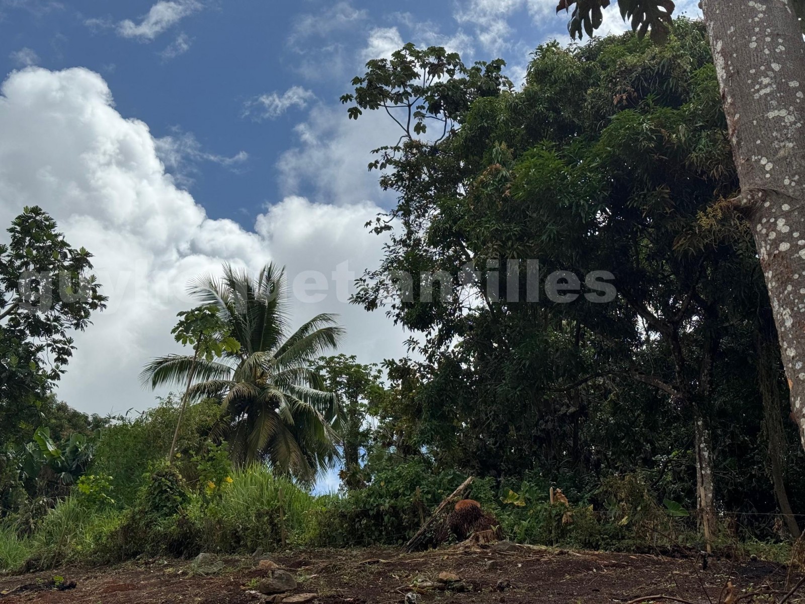 Terrain Constructible  Ducos