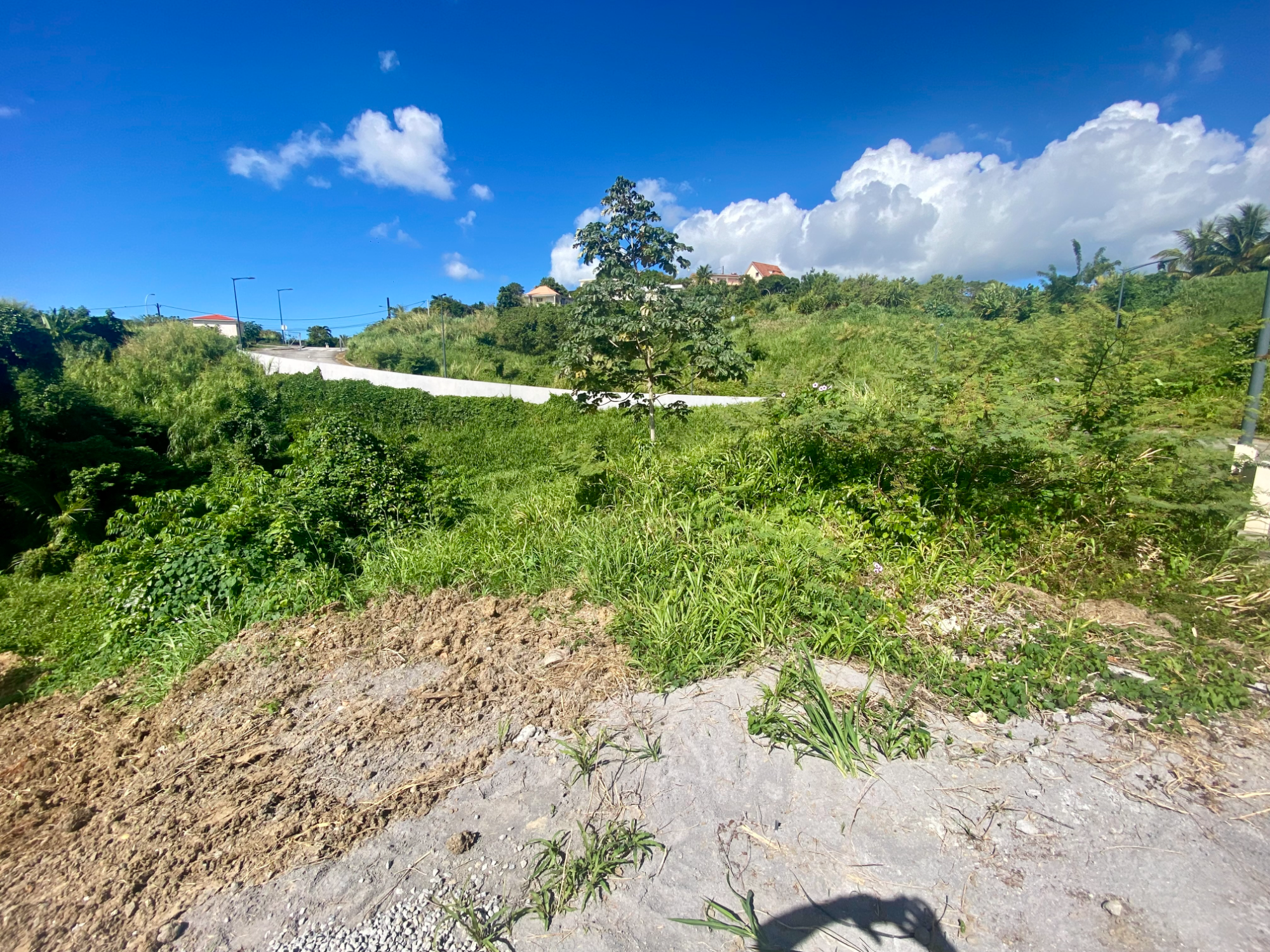 Terrain à batir  Schoelcher