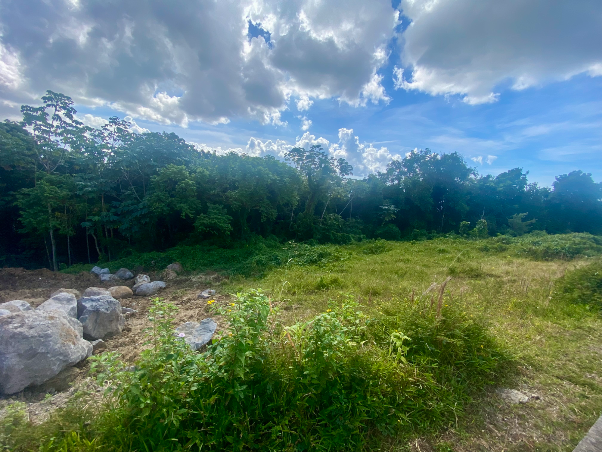 Terrain à batir  Schoelcher