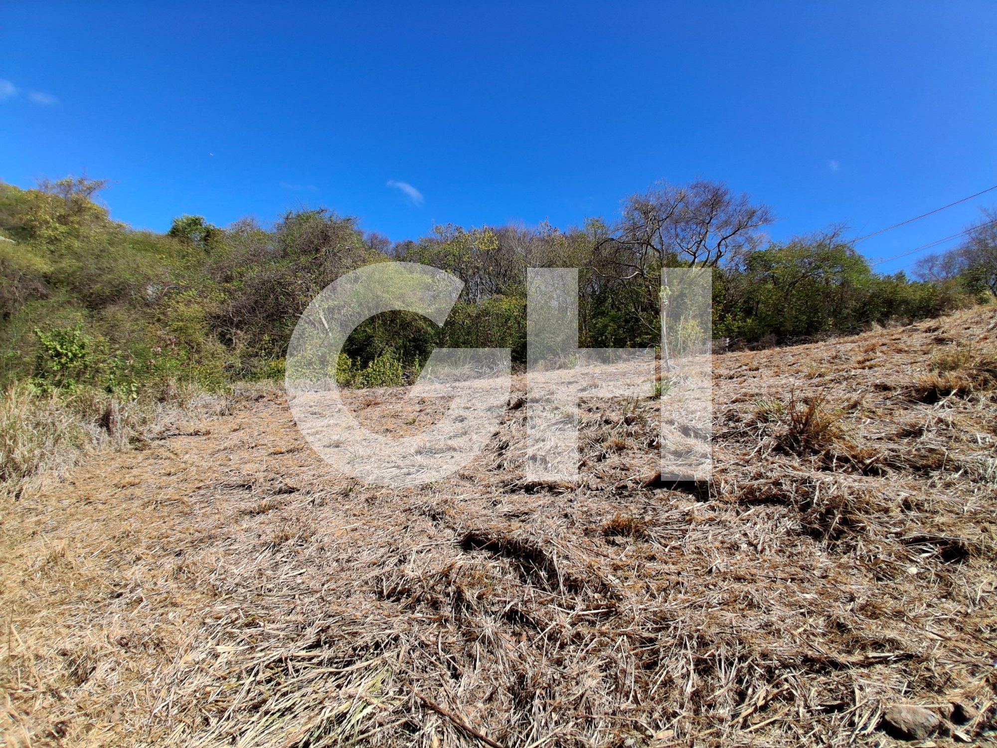 Terrain Constructible  Le Robert - Photo 4