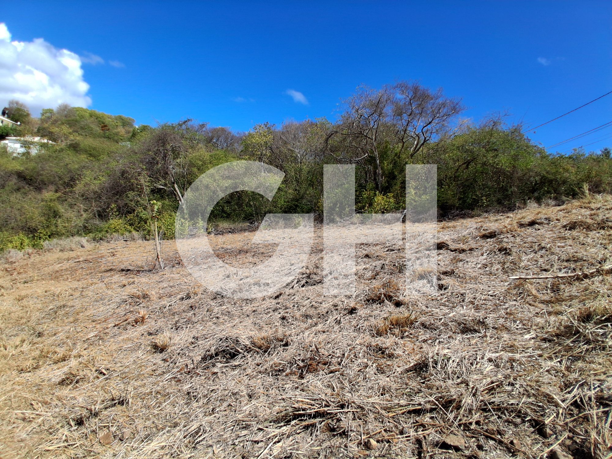 Terrain Constructible  Le Robert - Photo 5
