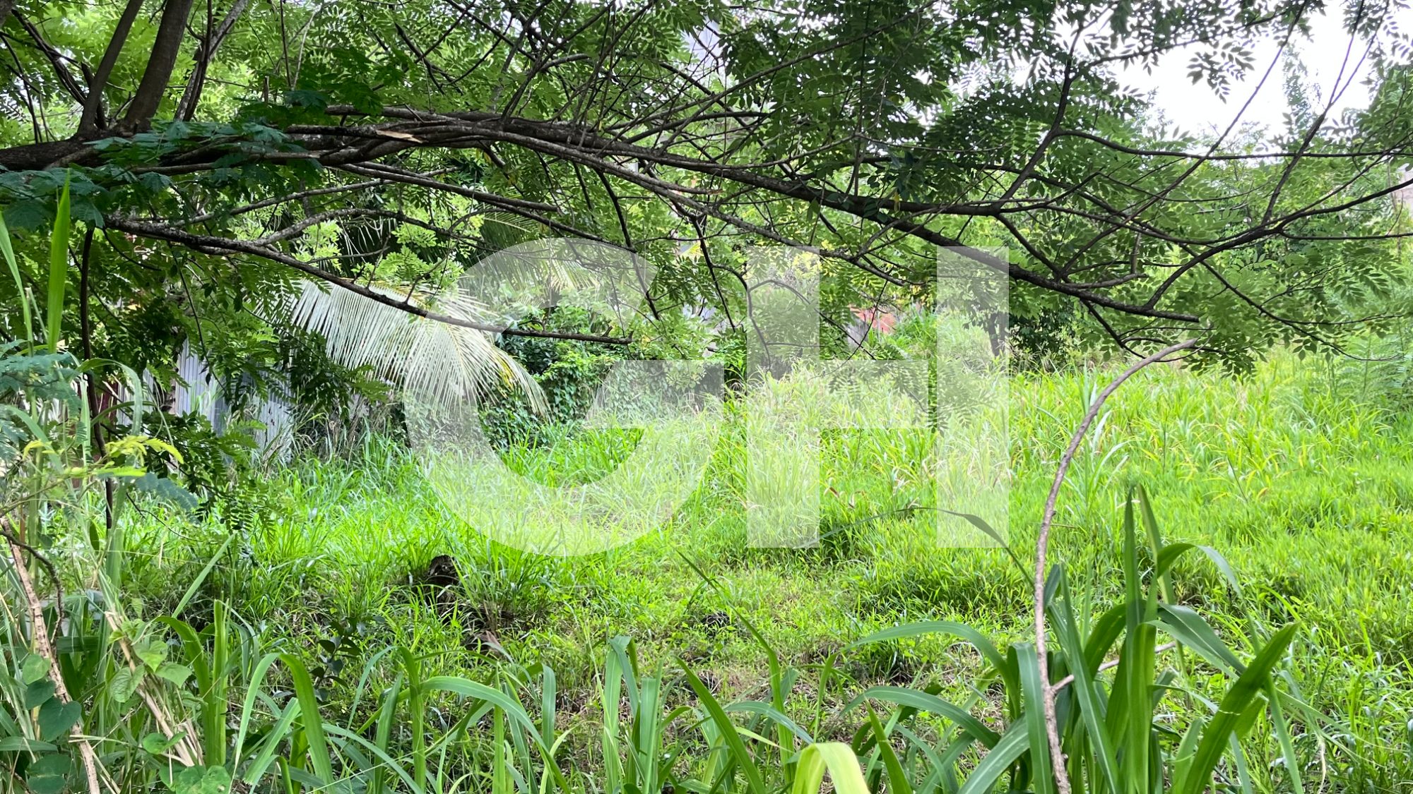 Terrain 922 m² · à Sainte-Luce · 160 000 €