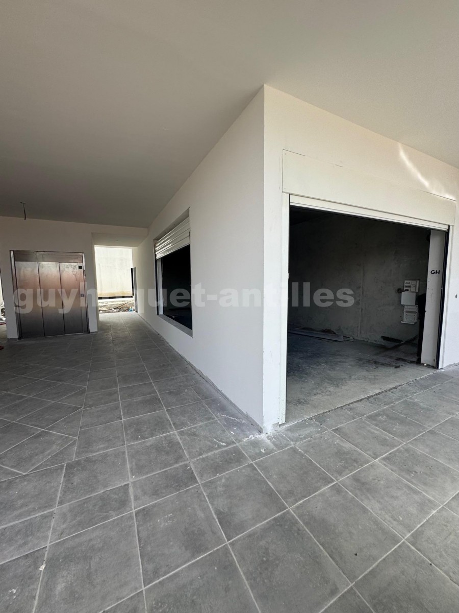 Commerce  Fort-de-France