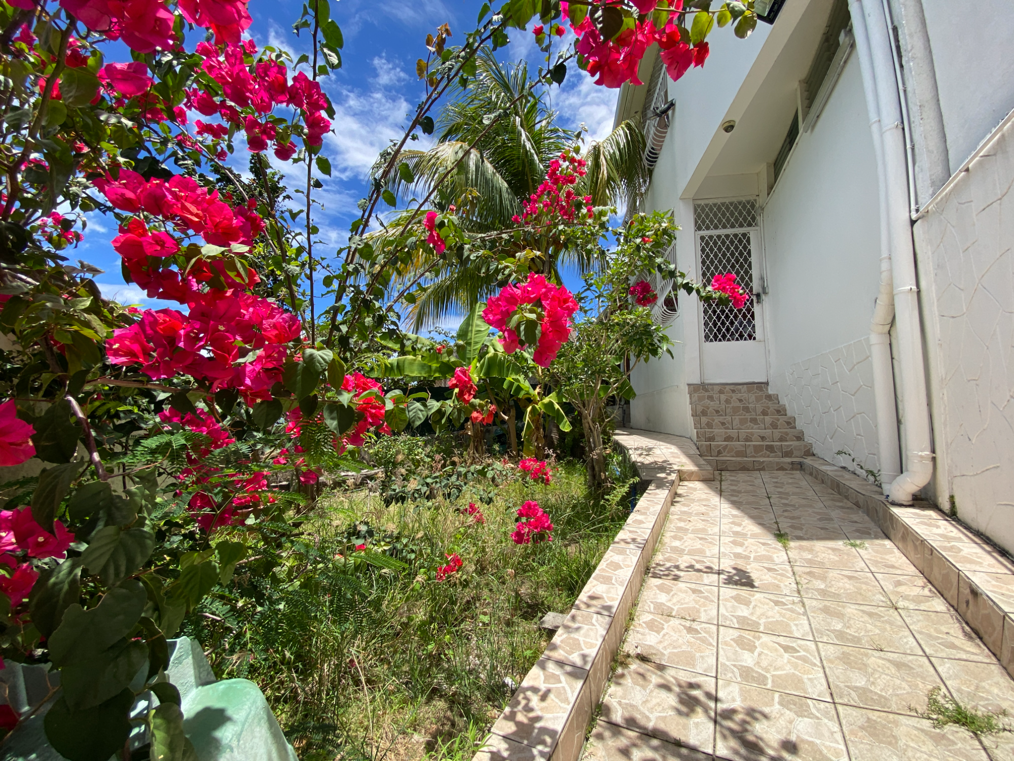 Maison 4 Pièce(s) Fort-de-France