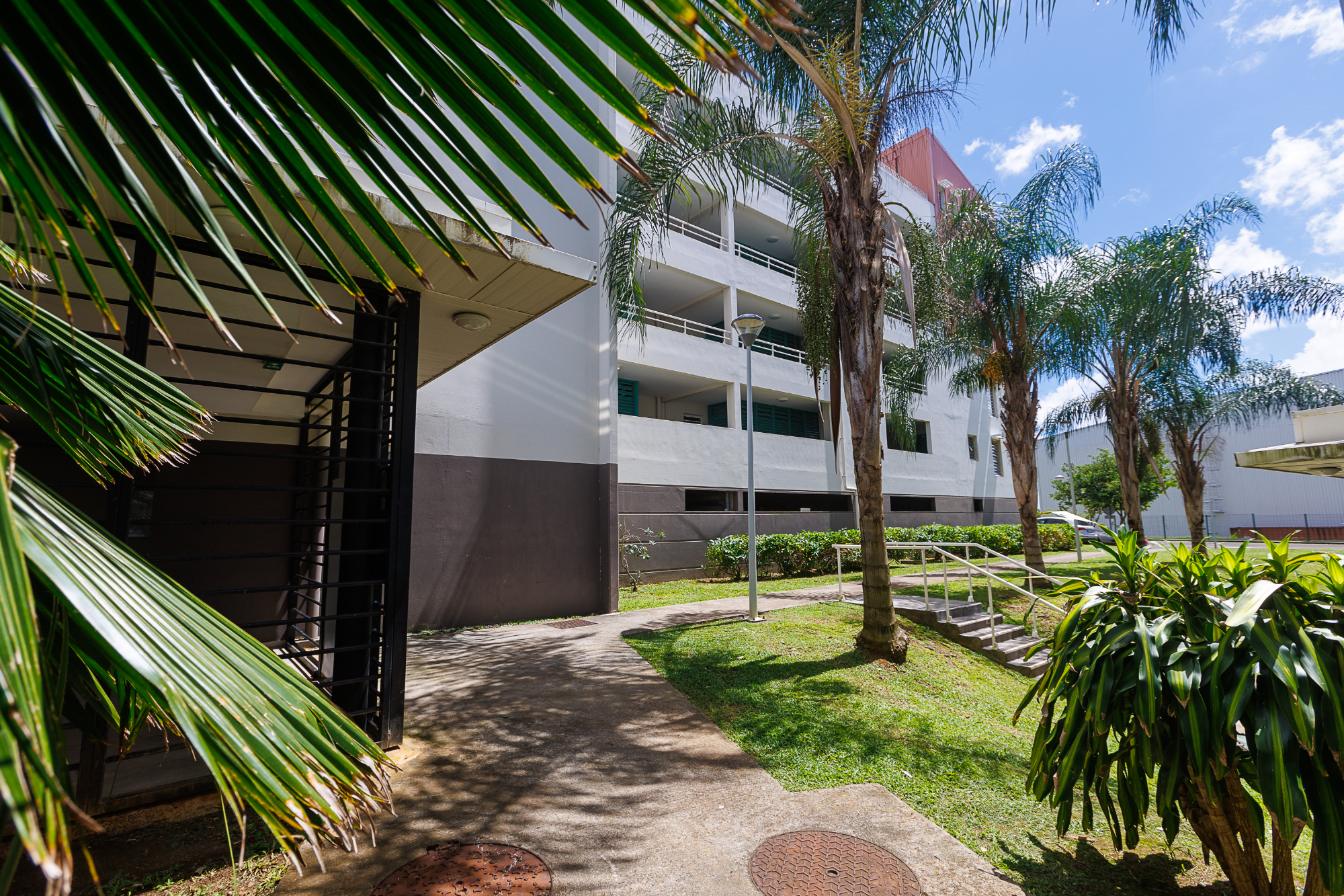 Appartement 3 Pièce(s) Fort-de-France